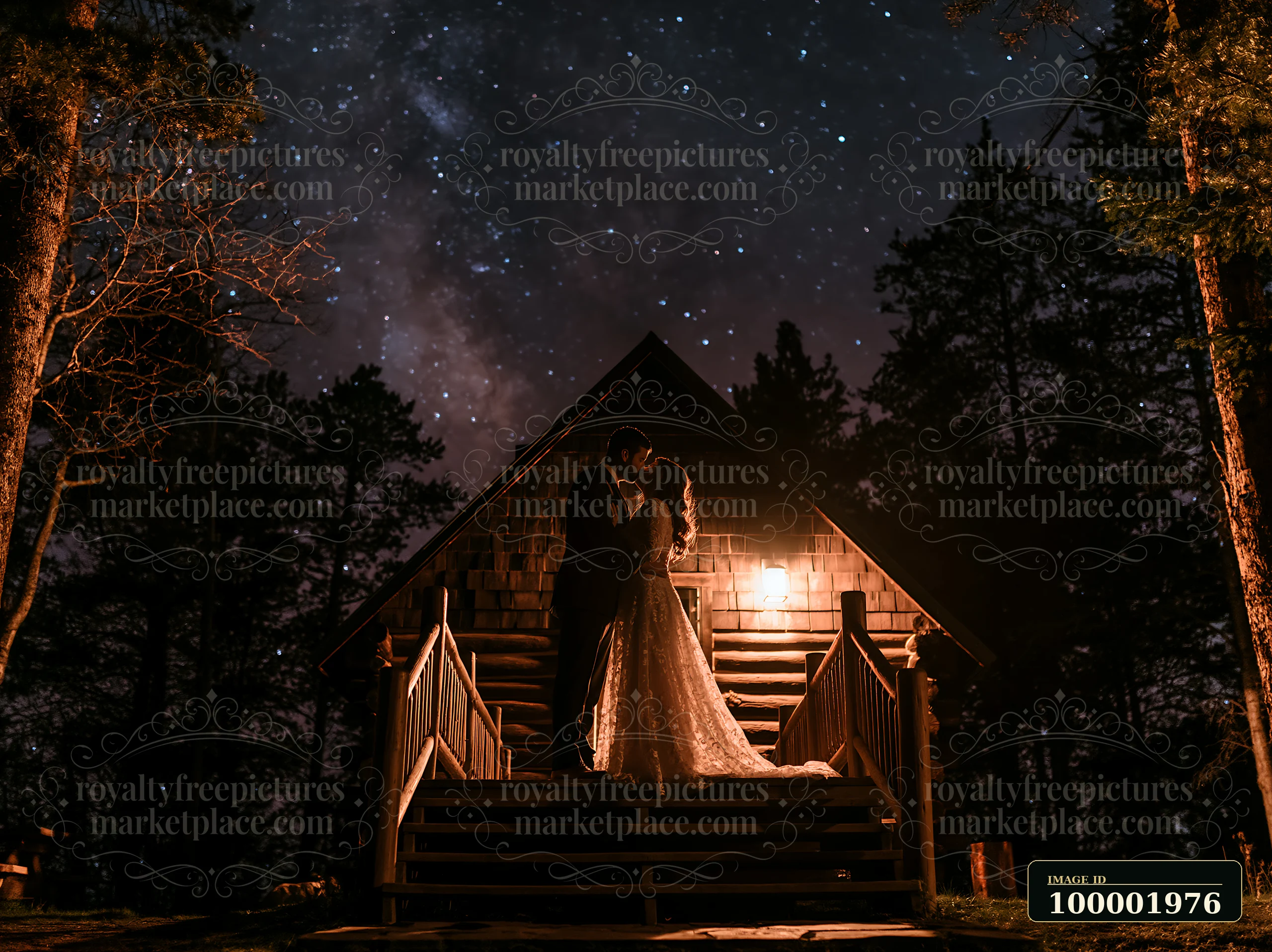 Newlyweds kissing outdoors beneath stars near a rustic cabin.