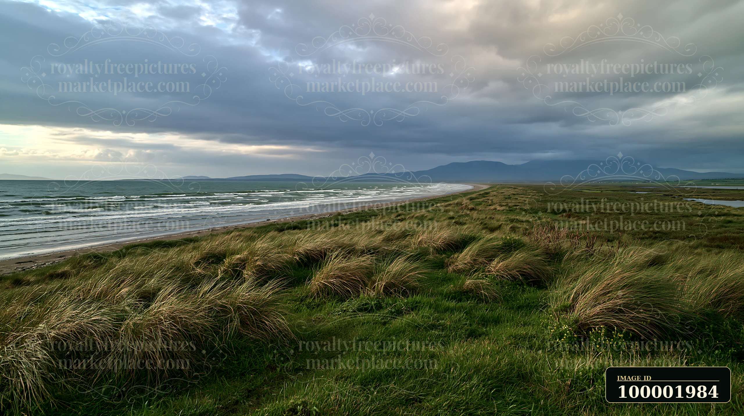 The coastline with salt marsh stretches into the distance, surrounded by green grass and gentle waves.
