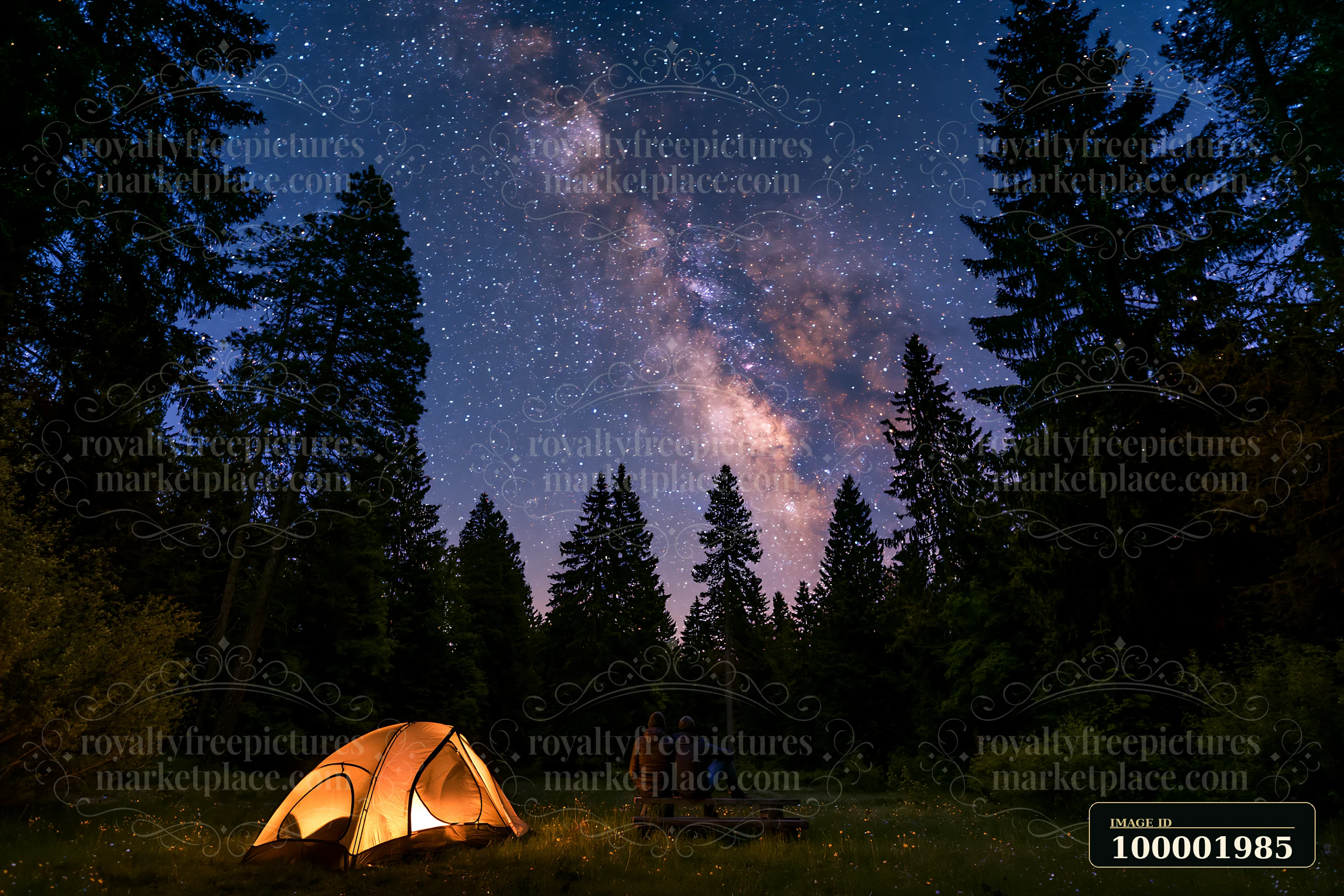 A couple sits together in a forest clearing, gazing up at the Milky Way stars above.