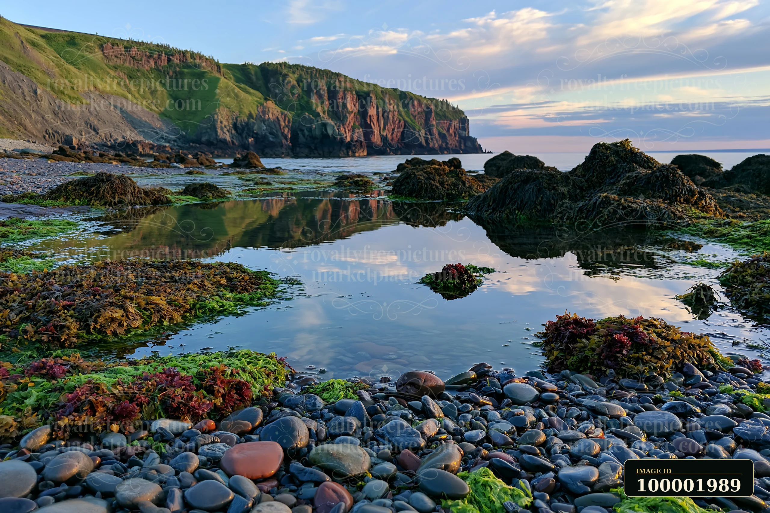Rocks and seaweed line the shore, reflecting the cliffs above in the water.