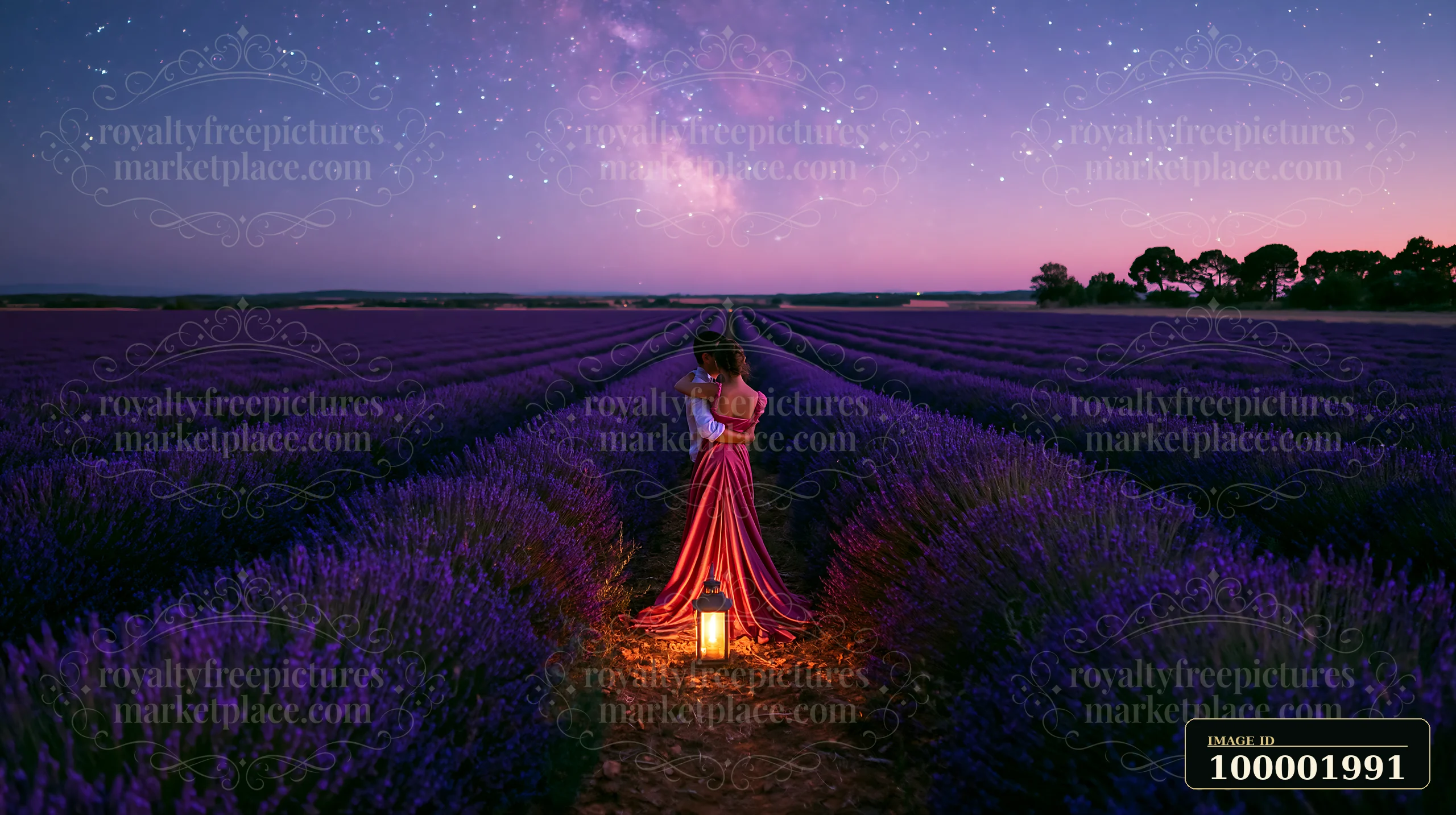 A couple dances under stars outdoors in a lavender field at dusk.