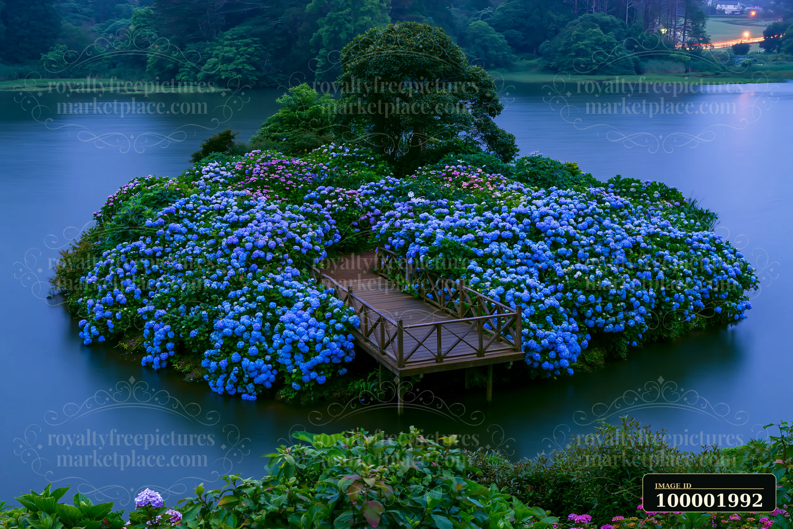A small island filled with blooming hydrangeas is surrounded by a peaceful lake.