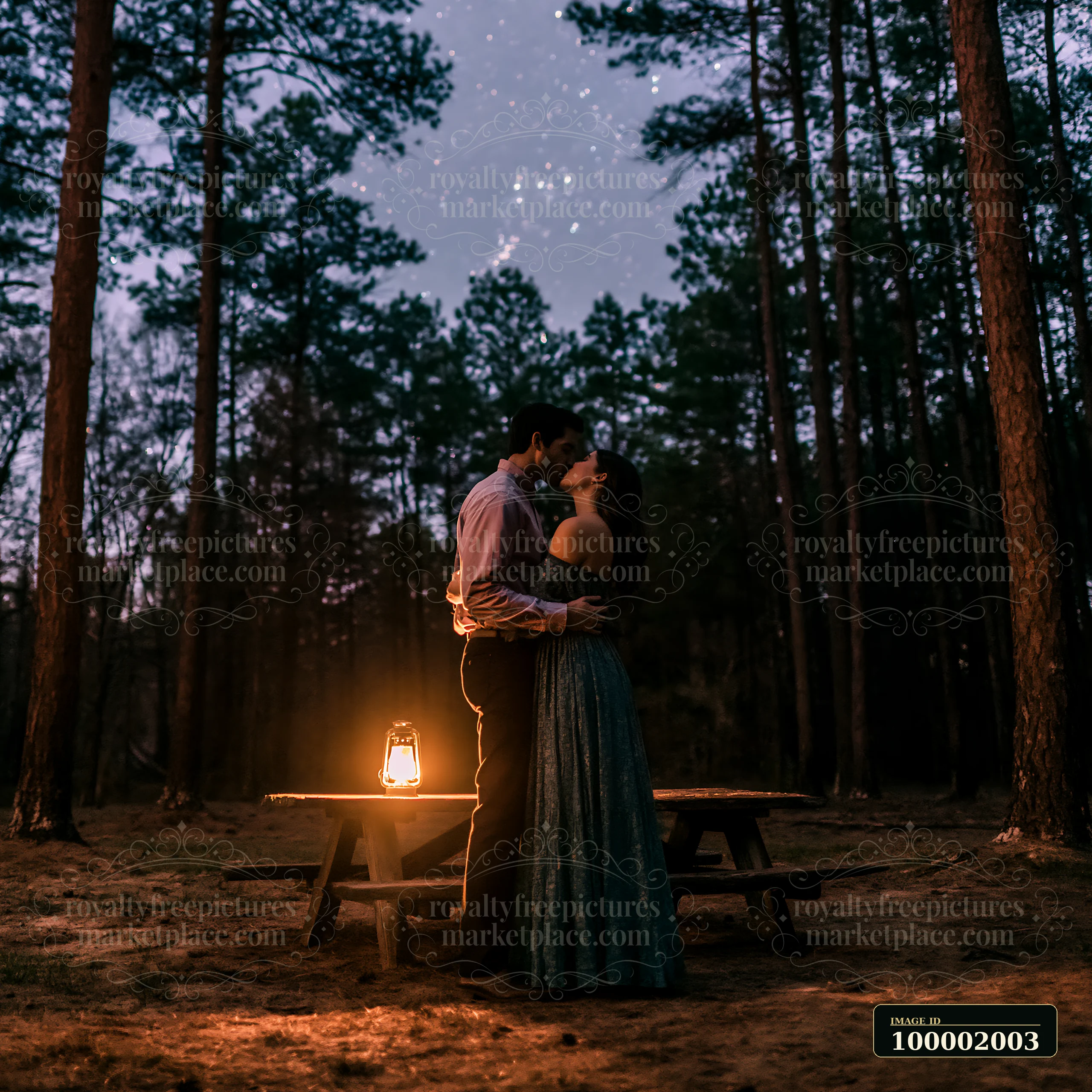 A couple kisses beneath a starry sky beside a glowing lantern in a forest setting.