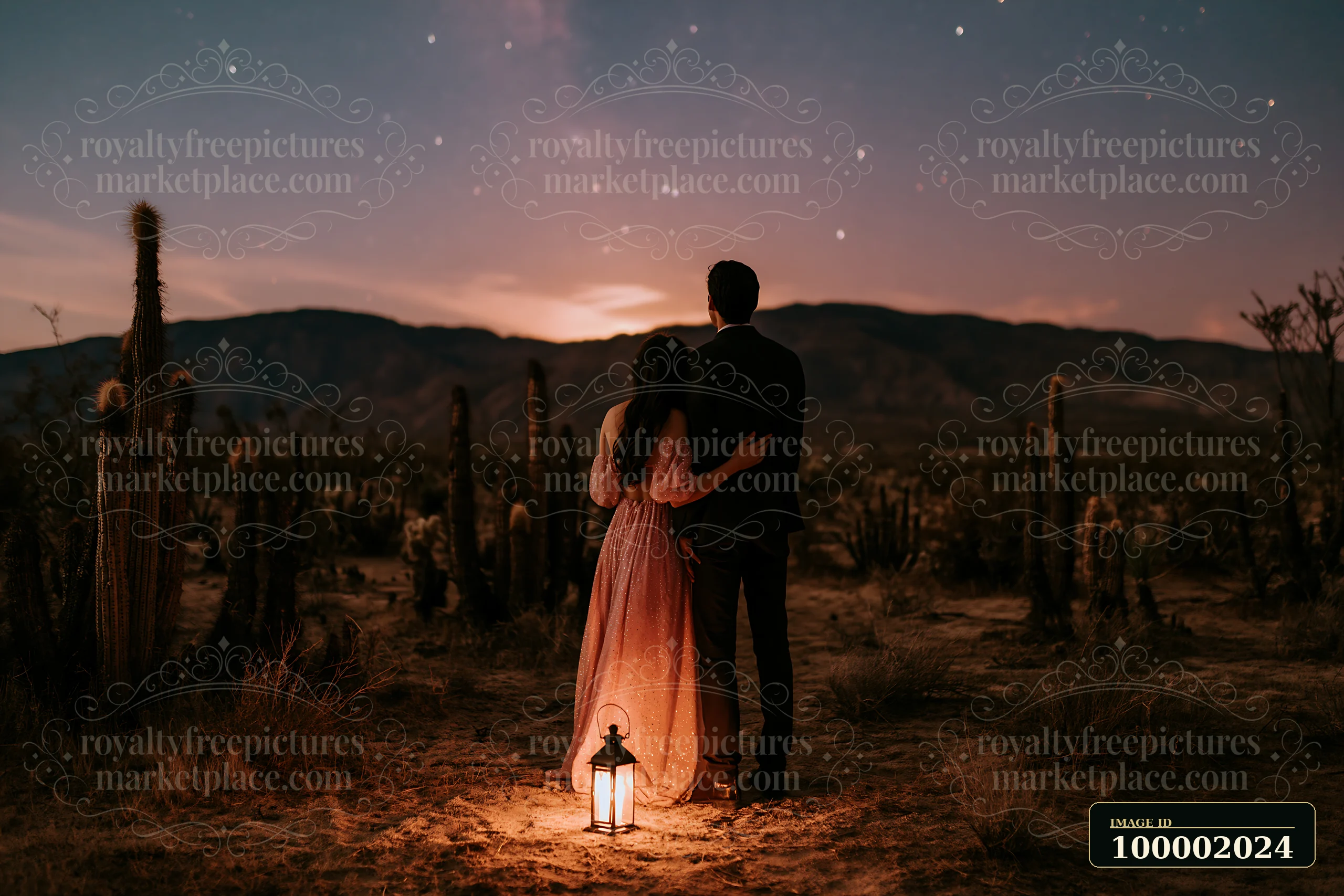 A couple stargazing in a desert at night stands close together, surrounded by cacti and illuminated by a lantern.