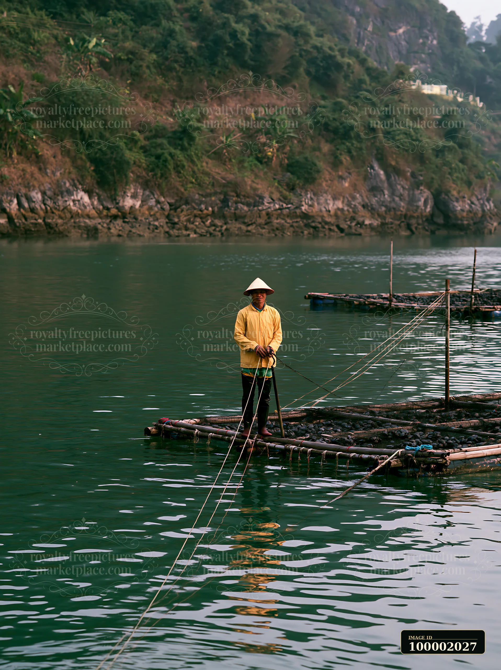 A fisherman stands on a floating platform in a coastal area while managing mussel farms.