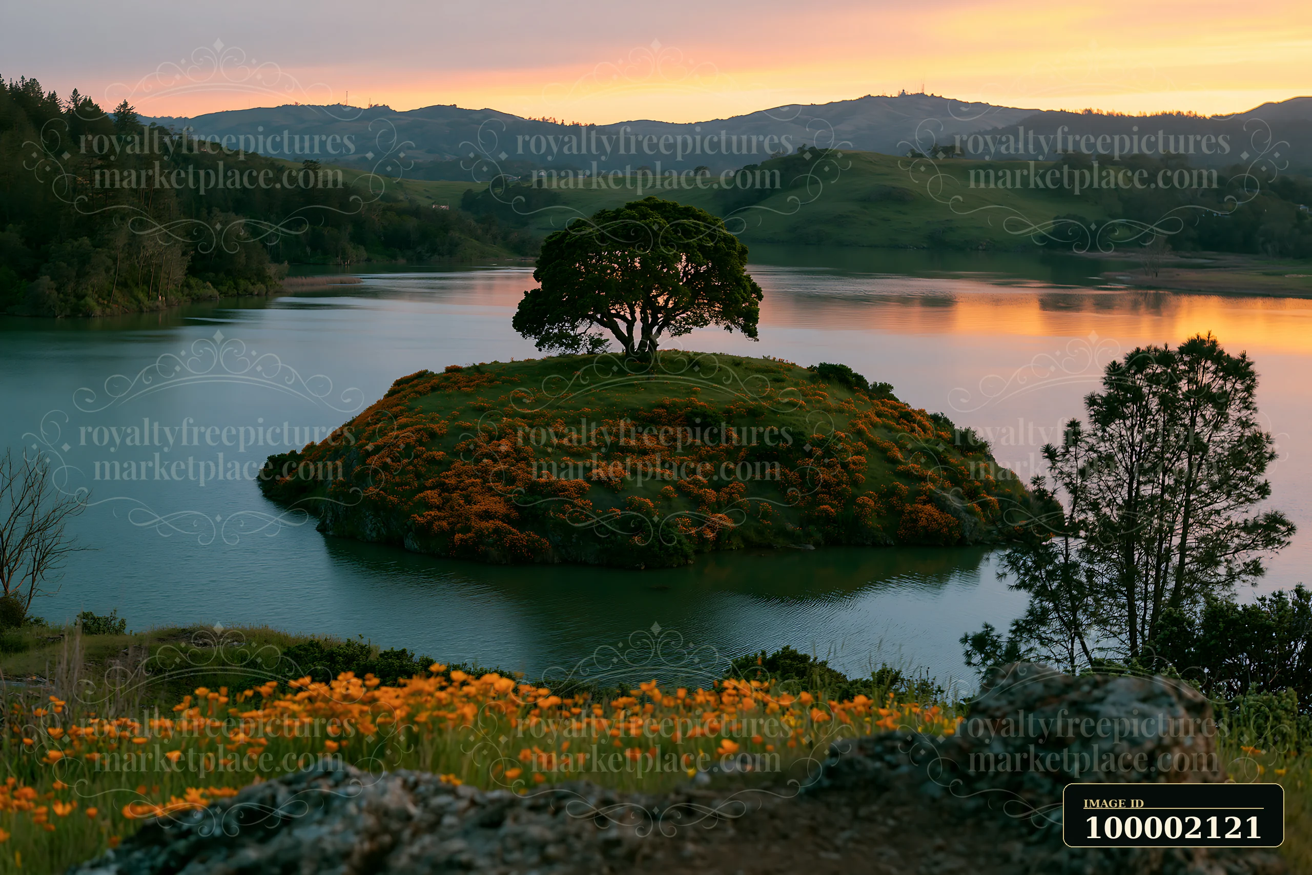 A small island appears in a lake surrounded by flowers as the sun sets behind rolling hills.