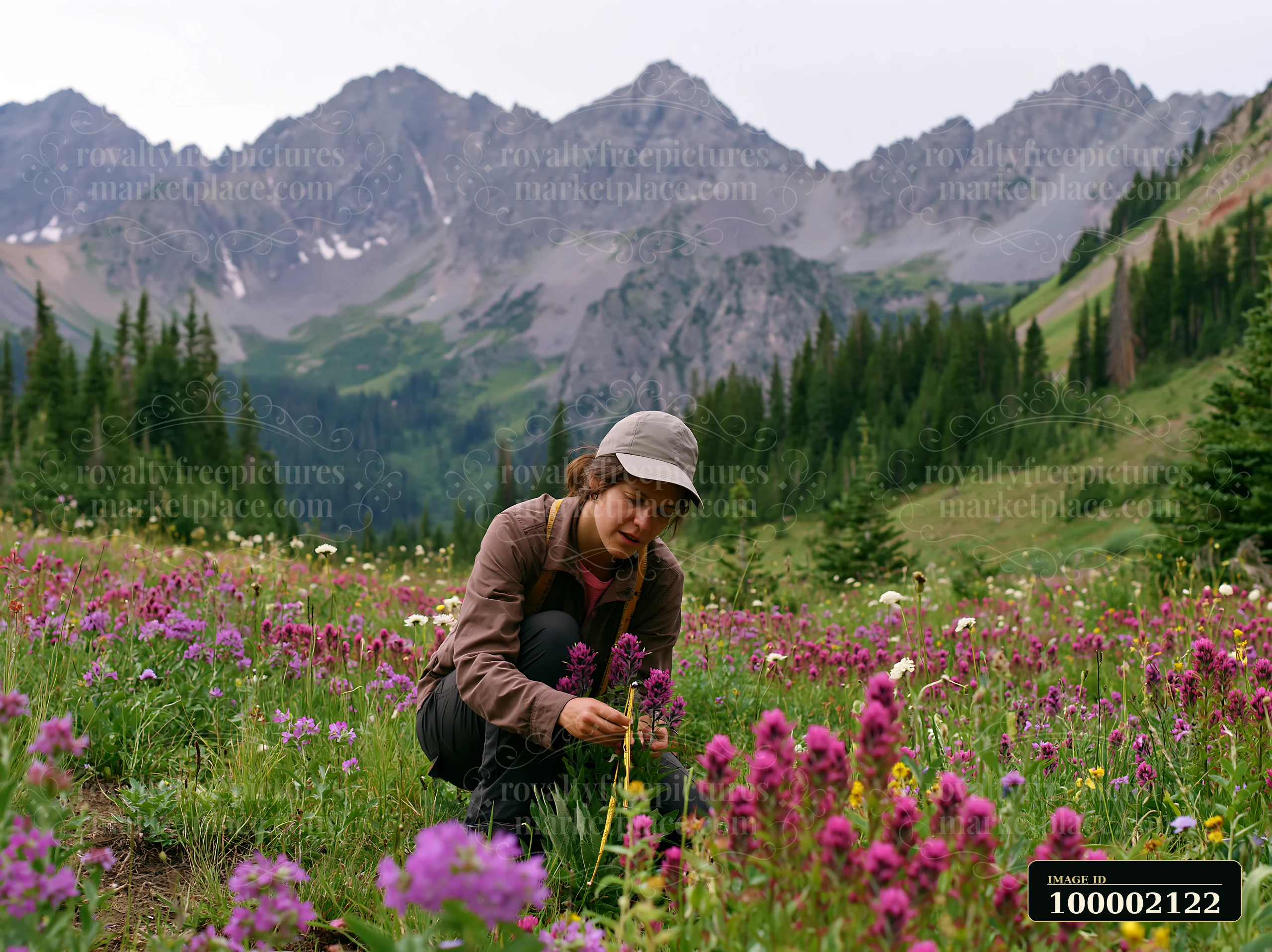 A woman crouches in a wildflower meadow below rocky peaks, collecting vibrant blooms.