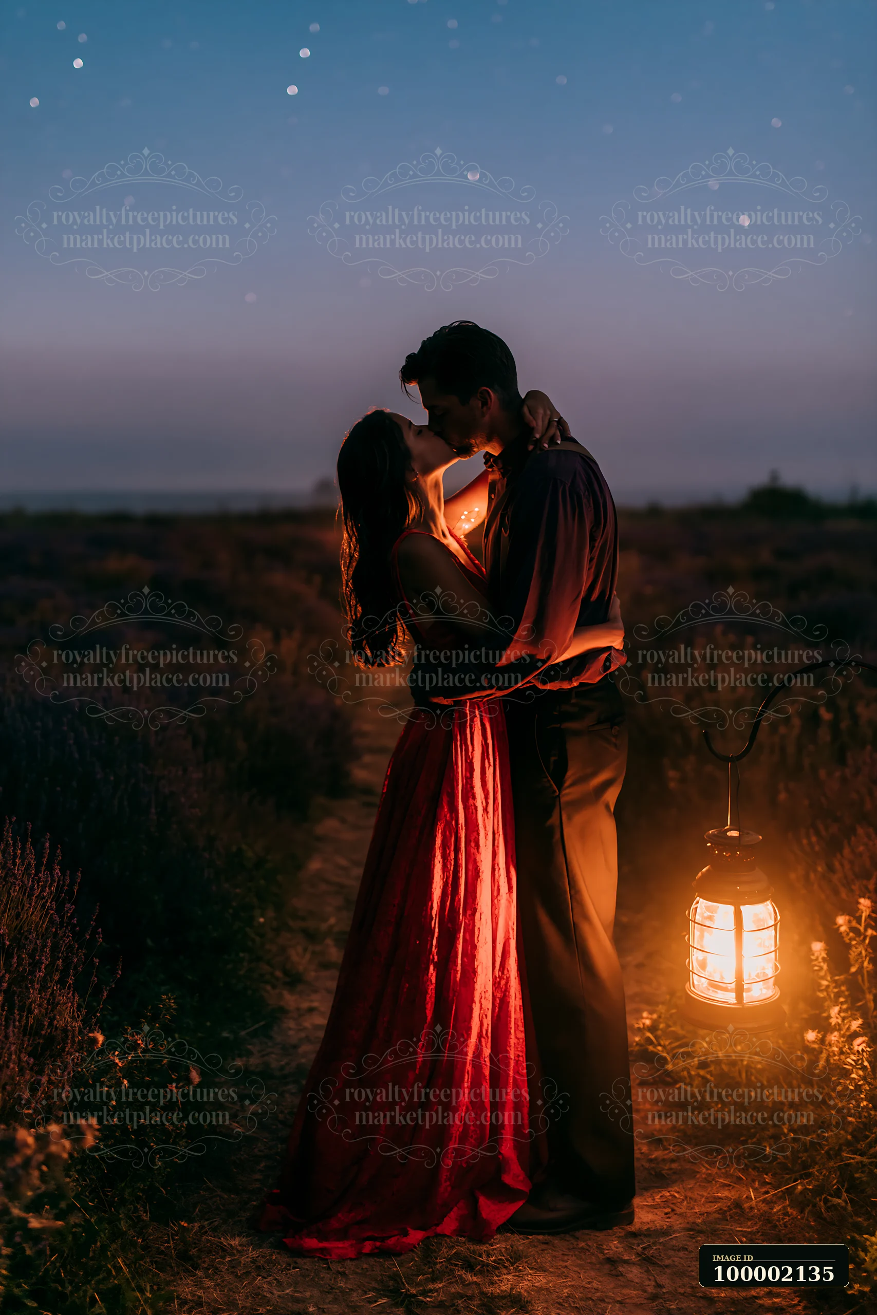 A couple kisses under a starry sky near a glowing lantern on a path.