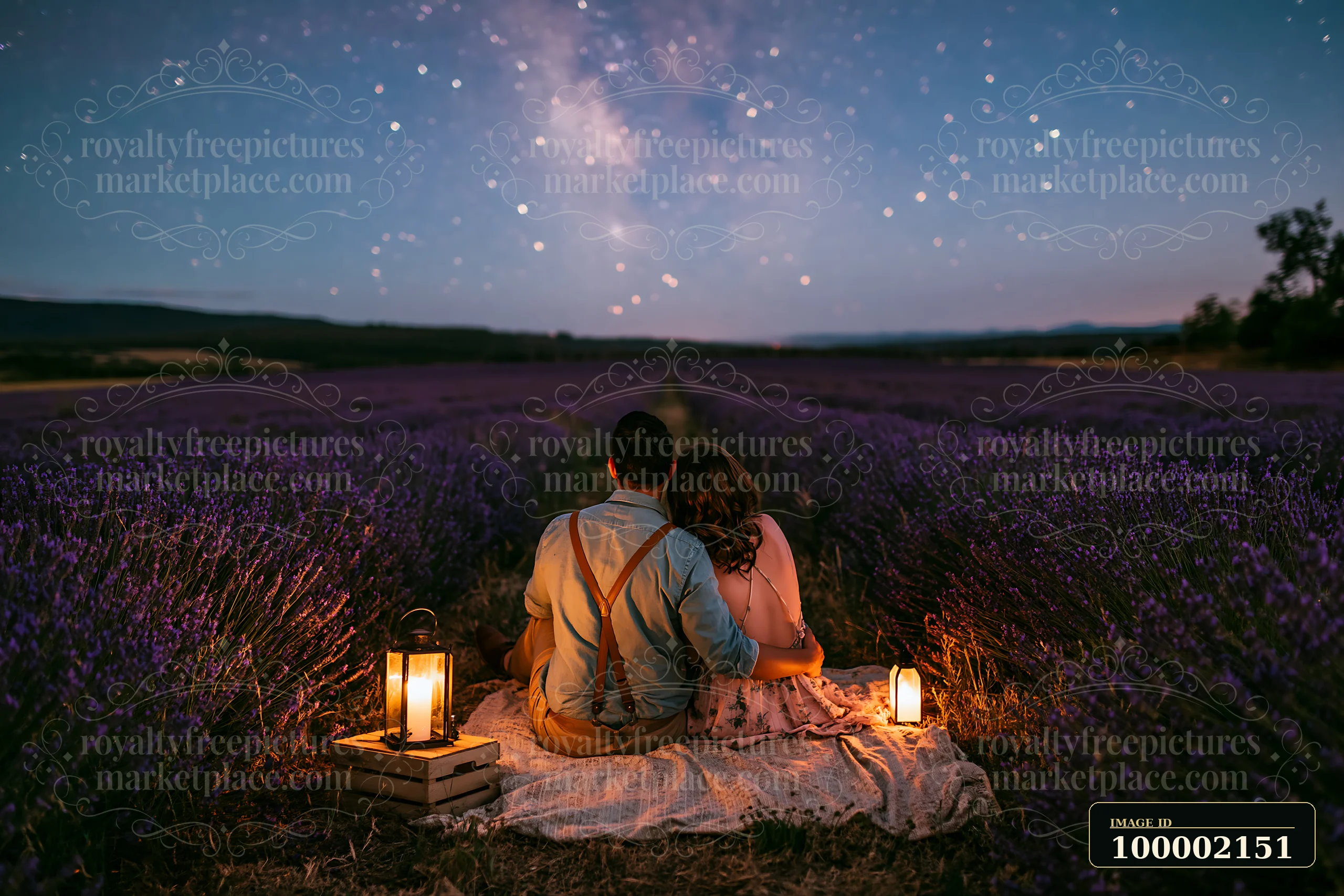 A couple under stars in a lavender field sits on a blanket surrounded by lavender flowers.