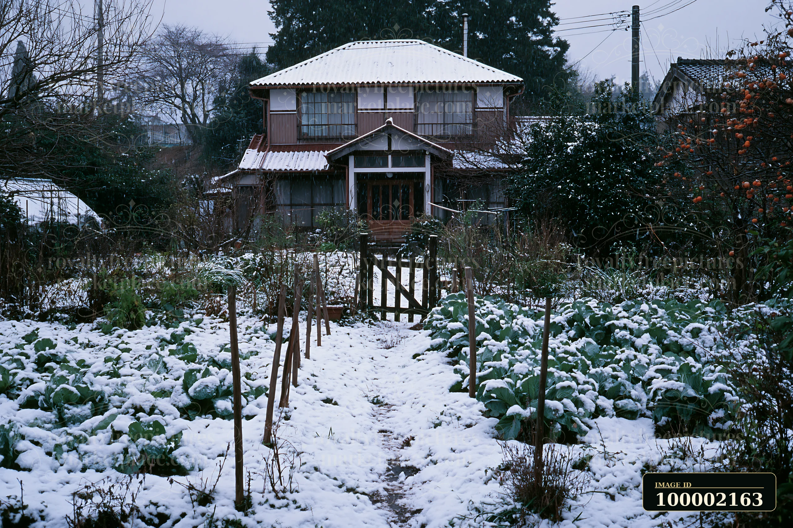 A country house stands among falling snow, surrounded by a garden path lined with vegetables.