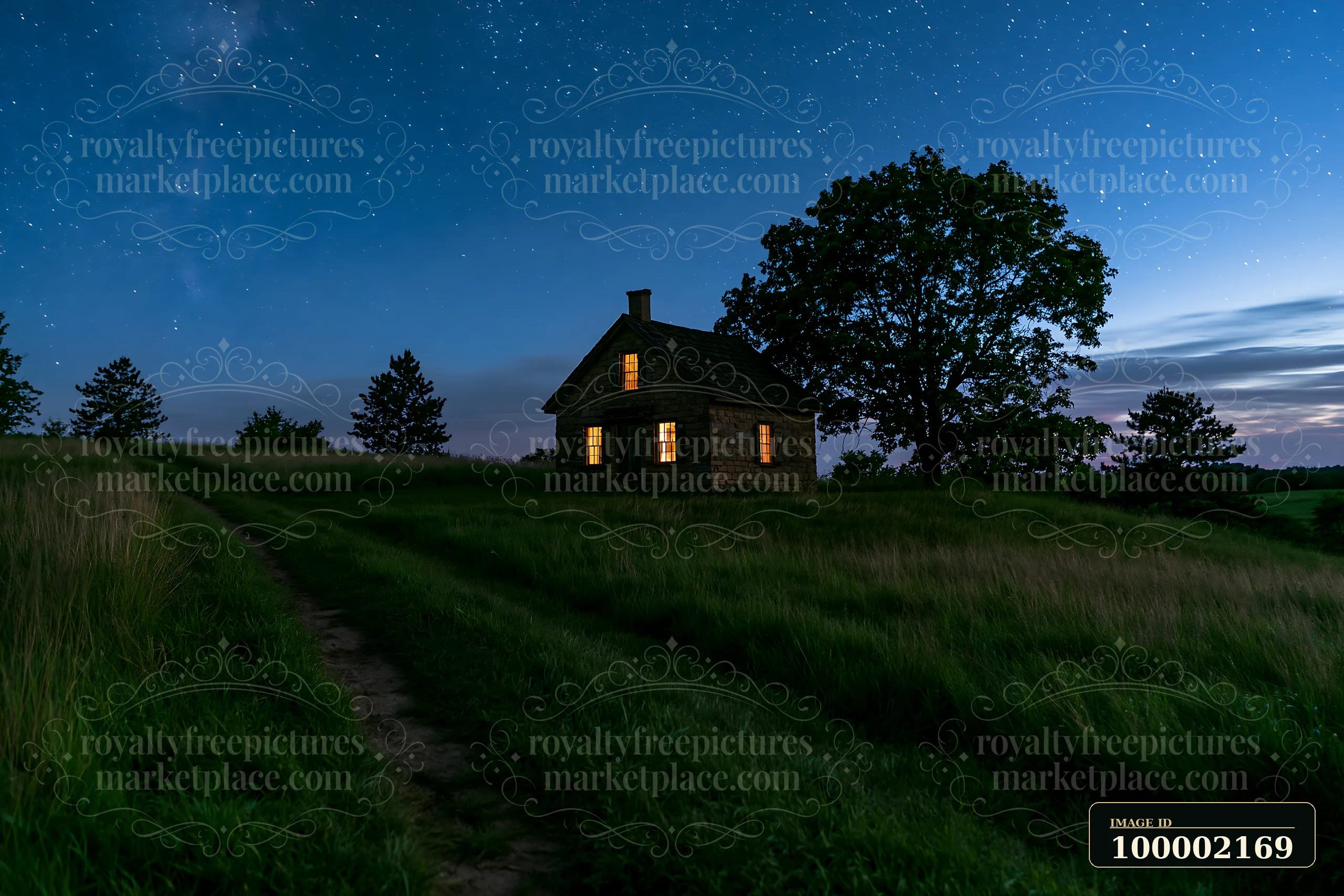 A house in a meadow beneath stars stands at night with lit windows illuminating the surrounding grass.