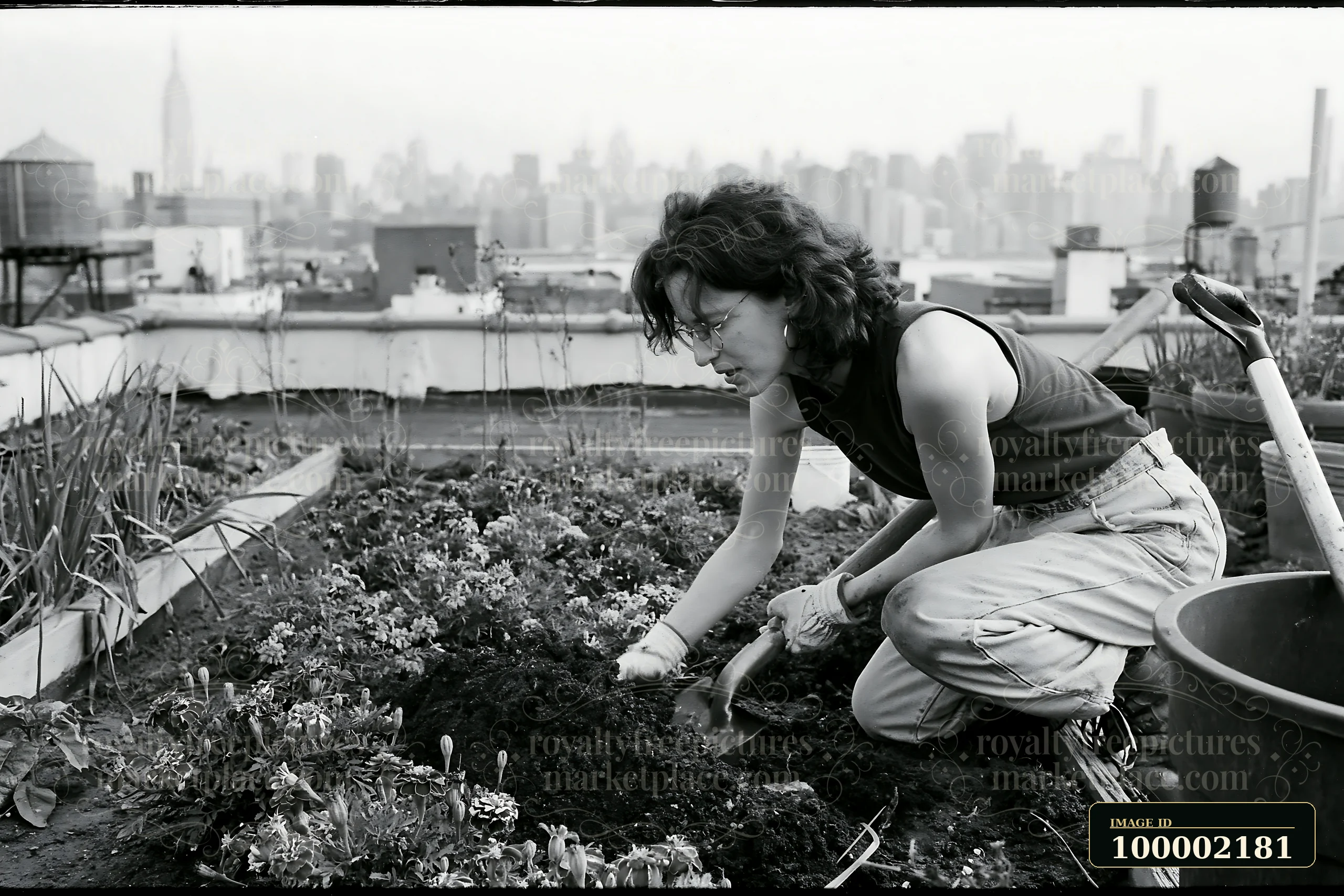 A gardener works in a marigold flower bed on a city rooftop, with the skyline visible in the background.