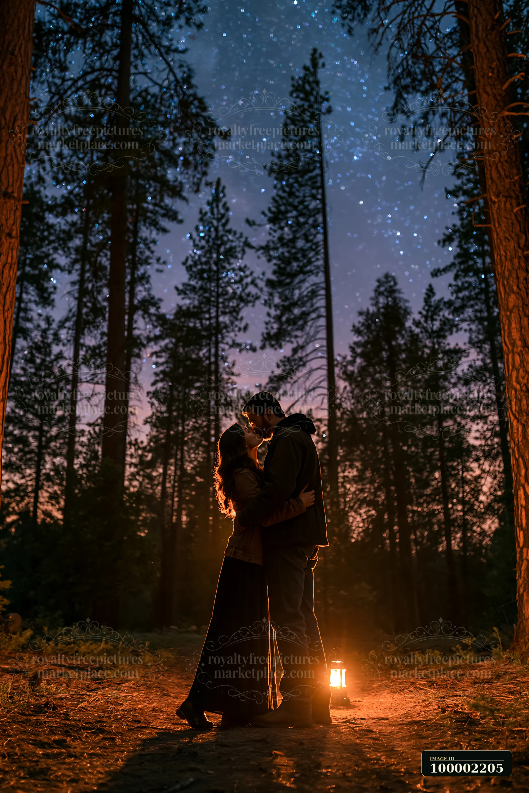 A couple kisses beneath a clear night sky filled with stars, surrounded by tall trees.