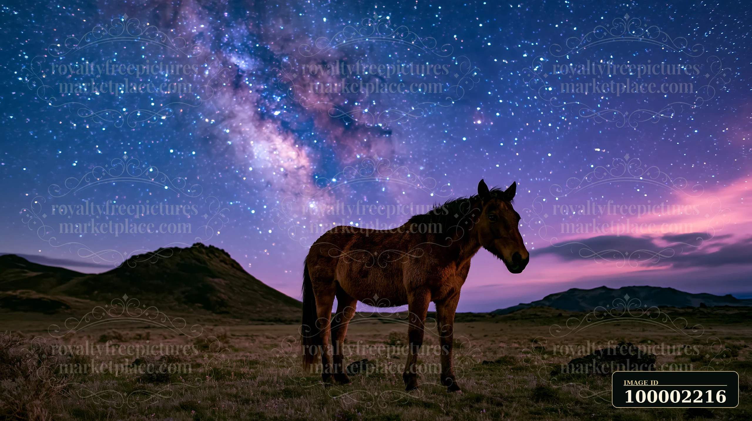 Horses are standing on a grassy field under a starry sky.
