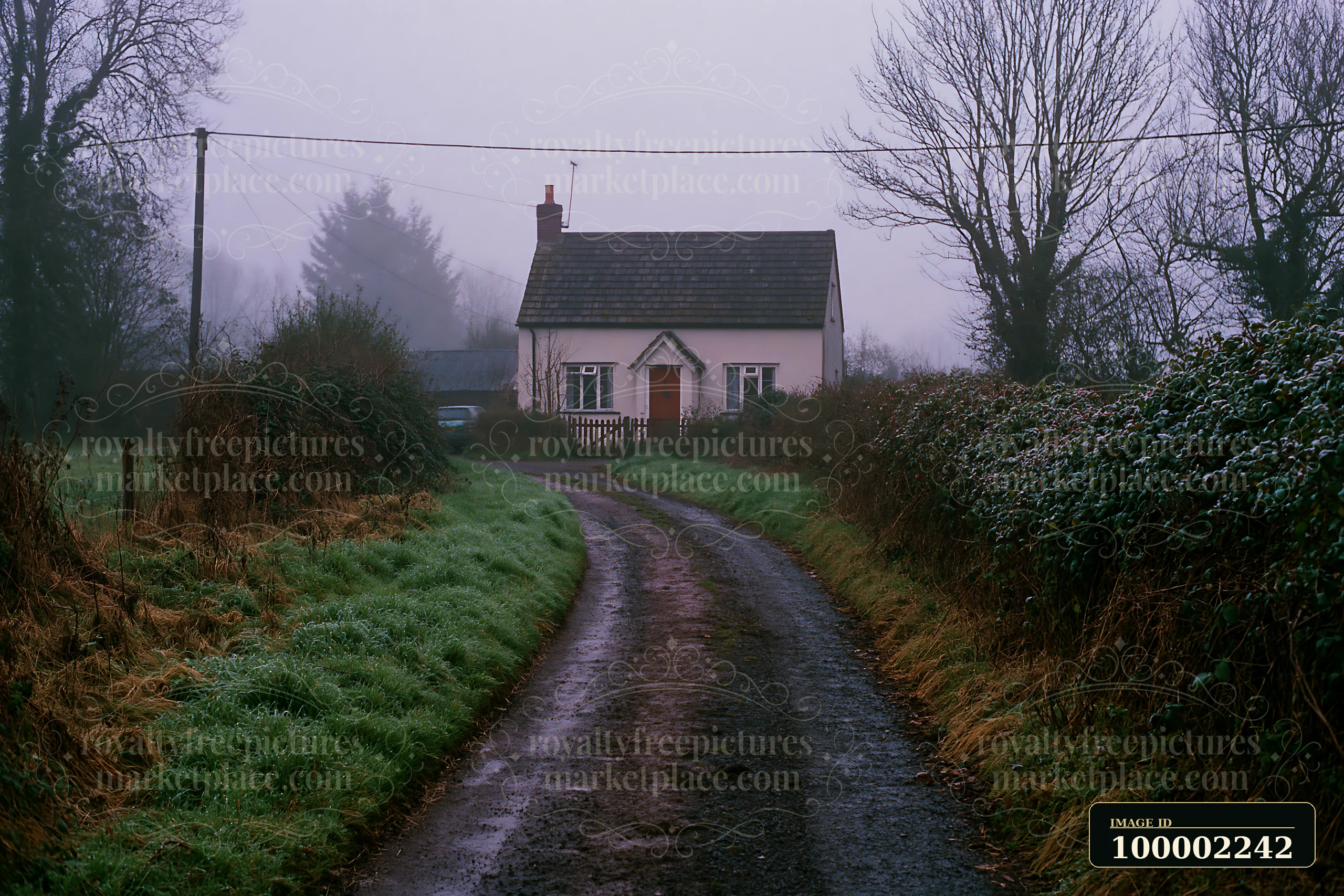 A cottage sits at the end of a winding road in a misty countryside, surrounded by trees and hedges.