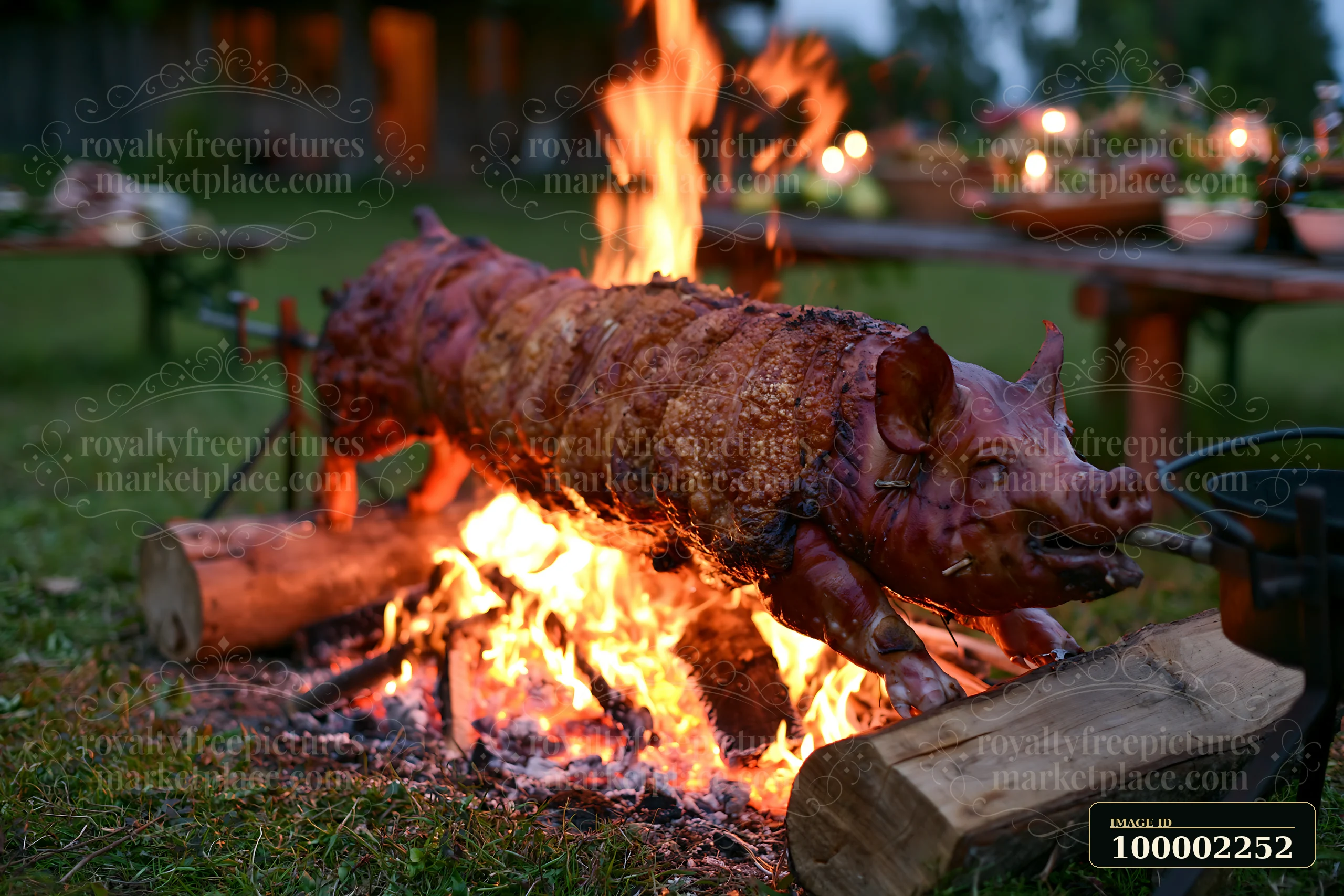 A spit-roasted suckling pig with crackling skin is cooked over an open fire in a backyard setting.