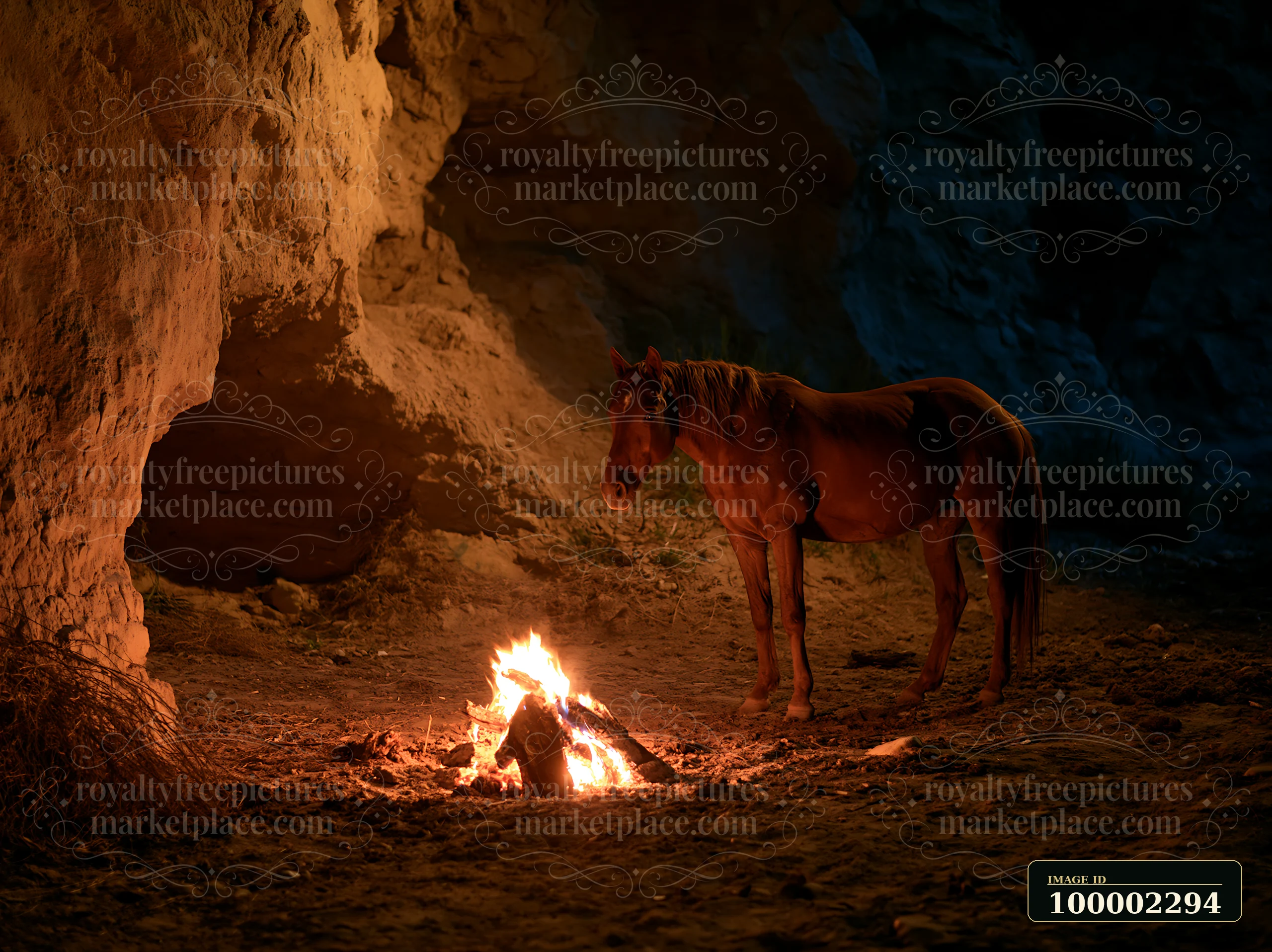 A horse stands near a campfire glow at night in a rocky area.