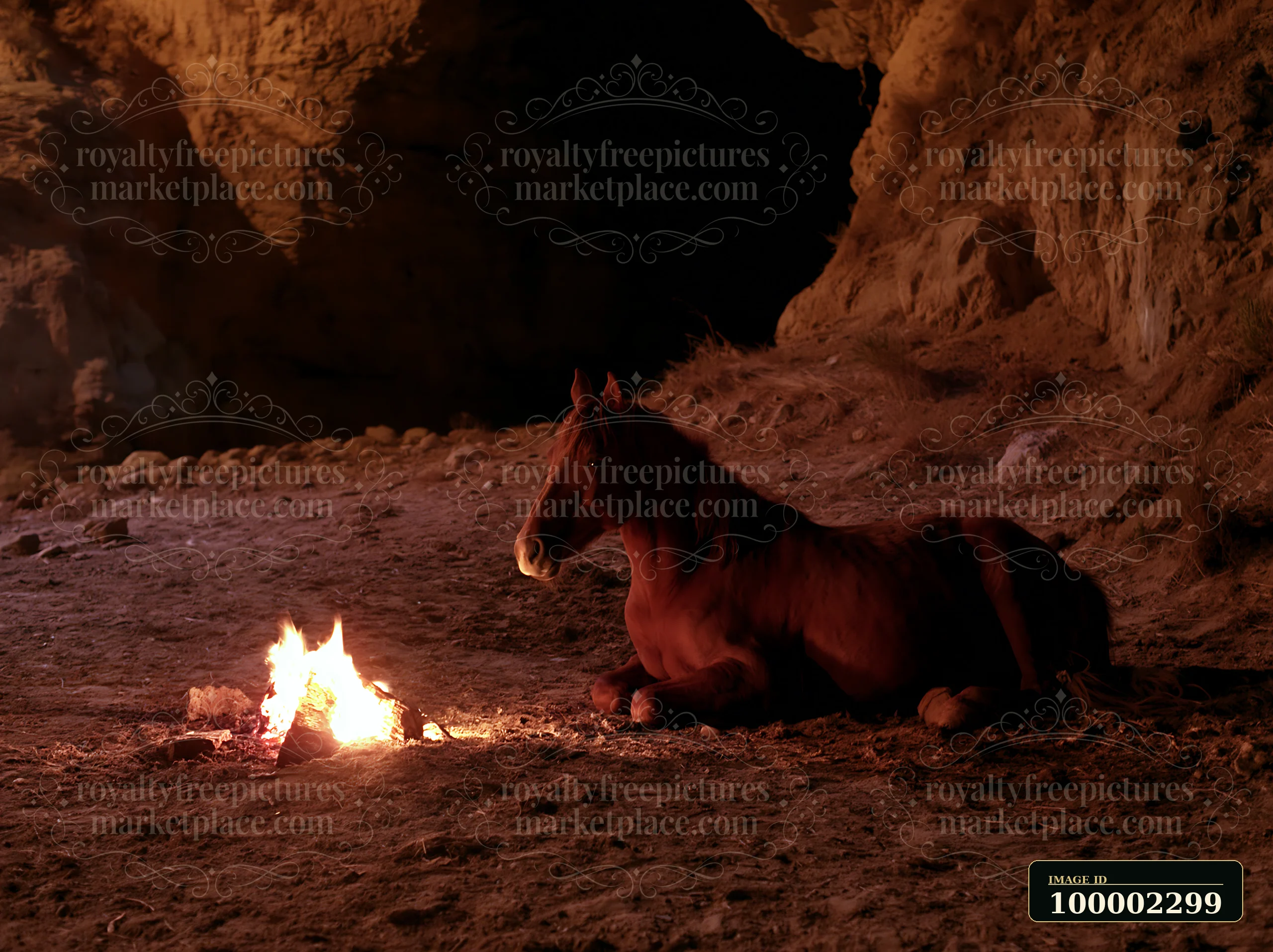 A horse rests calmly near a campfire glow in a cave at night.