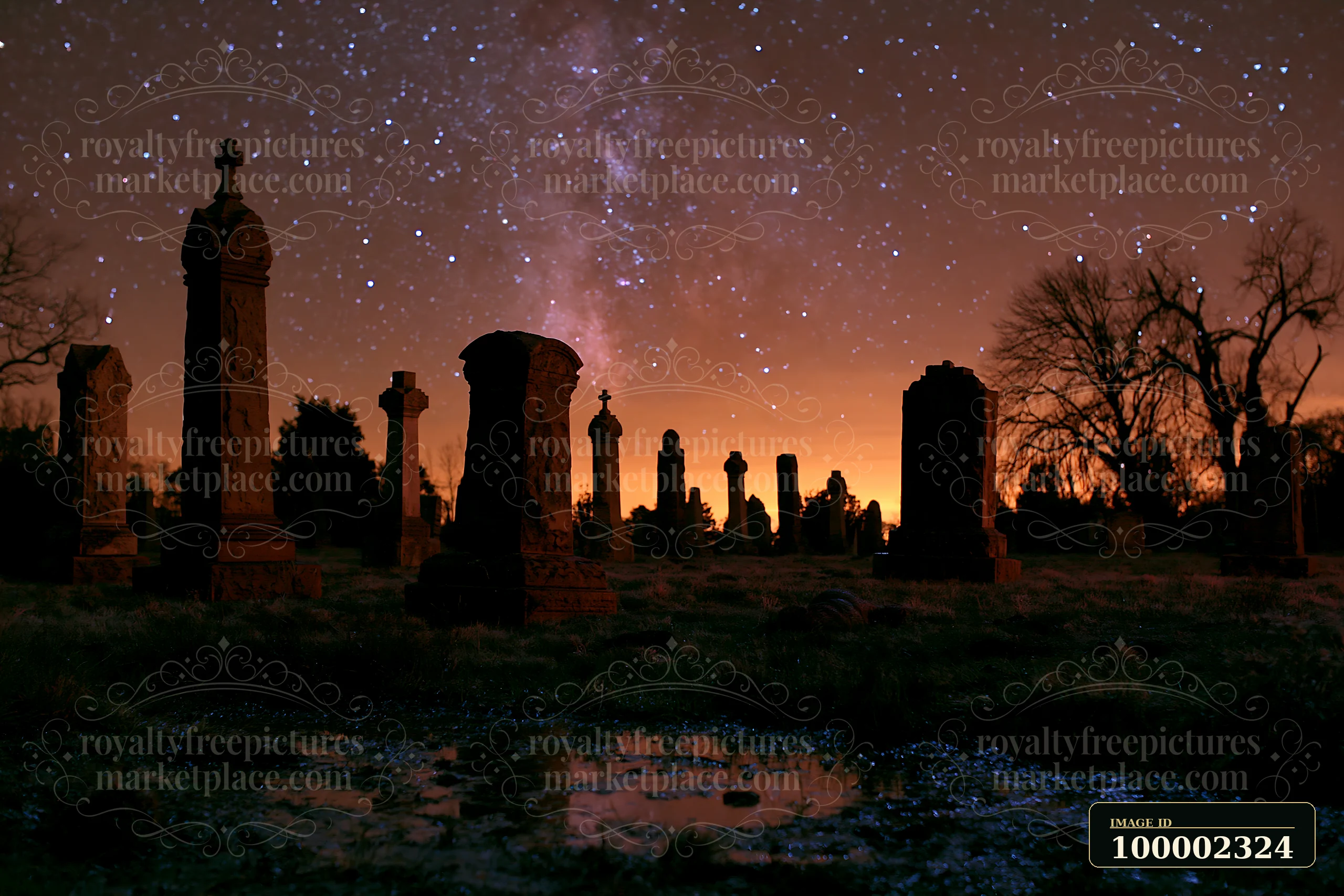 Headstones silhouetted against a starry sky capture a graveyard scene at night.