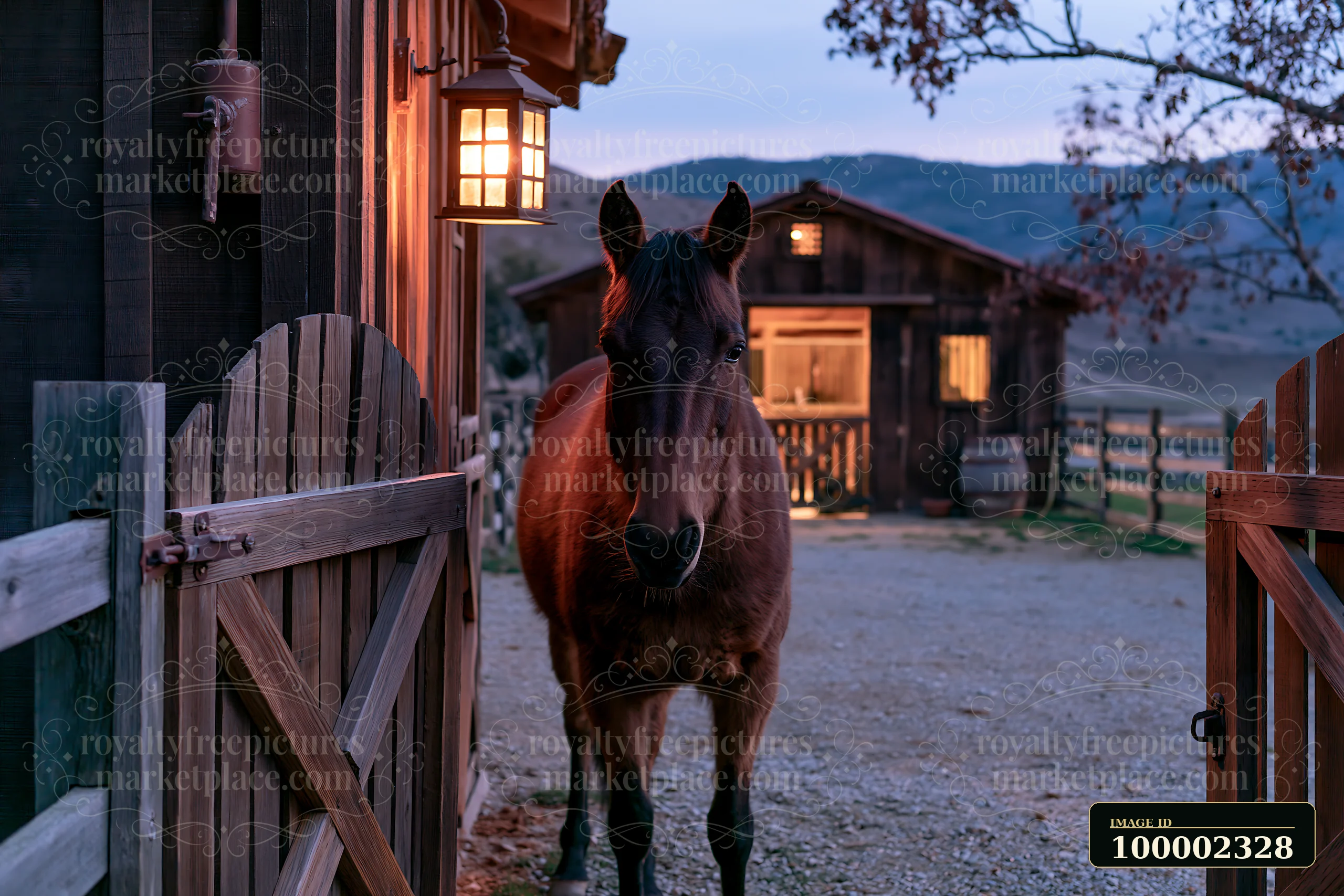 A horse stands near a lantern-lit stable as dusk settles in a rural area.