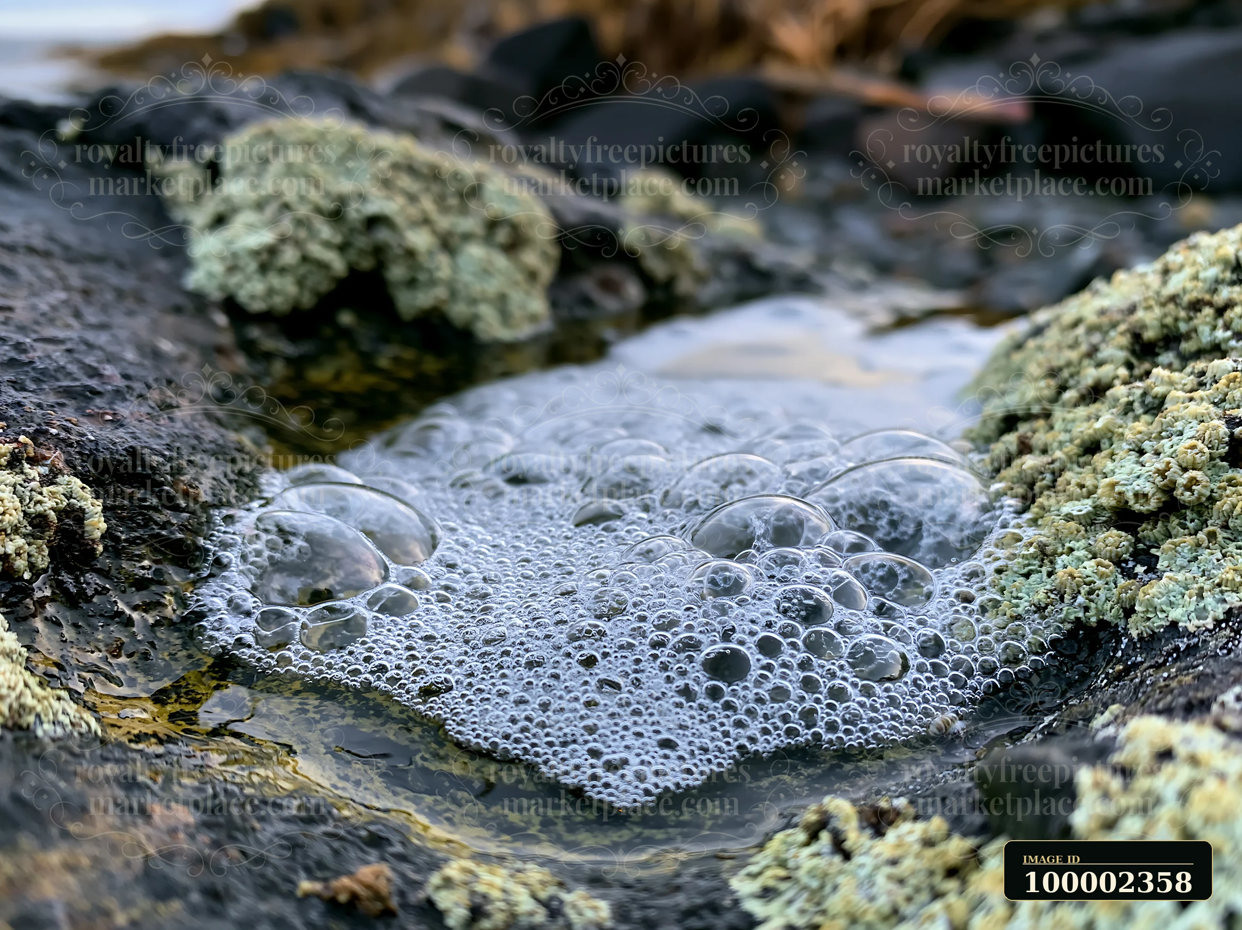 Water bubbles rise in a tidal pool among exposed rocks on the coastline.