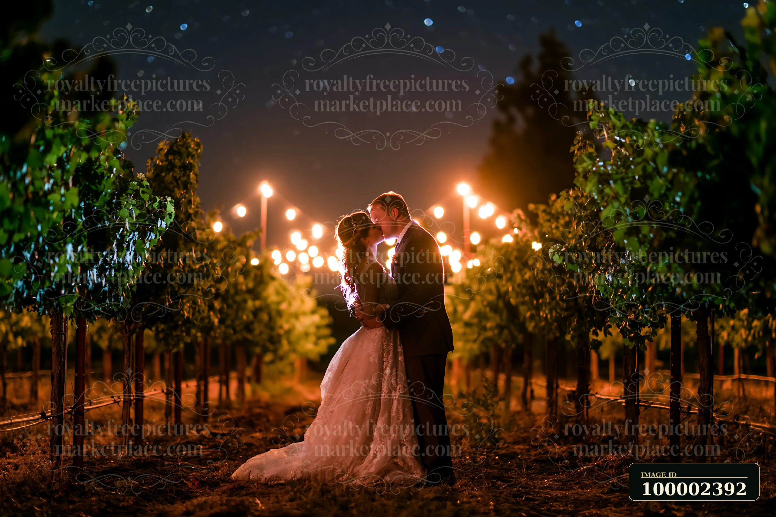 A couple stands close together, sharing a kiss under a sky full of stars.