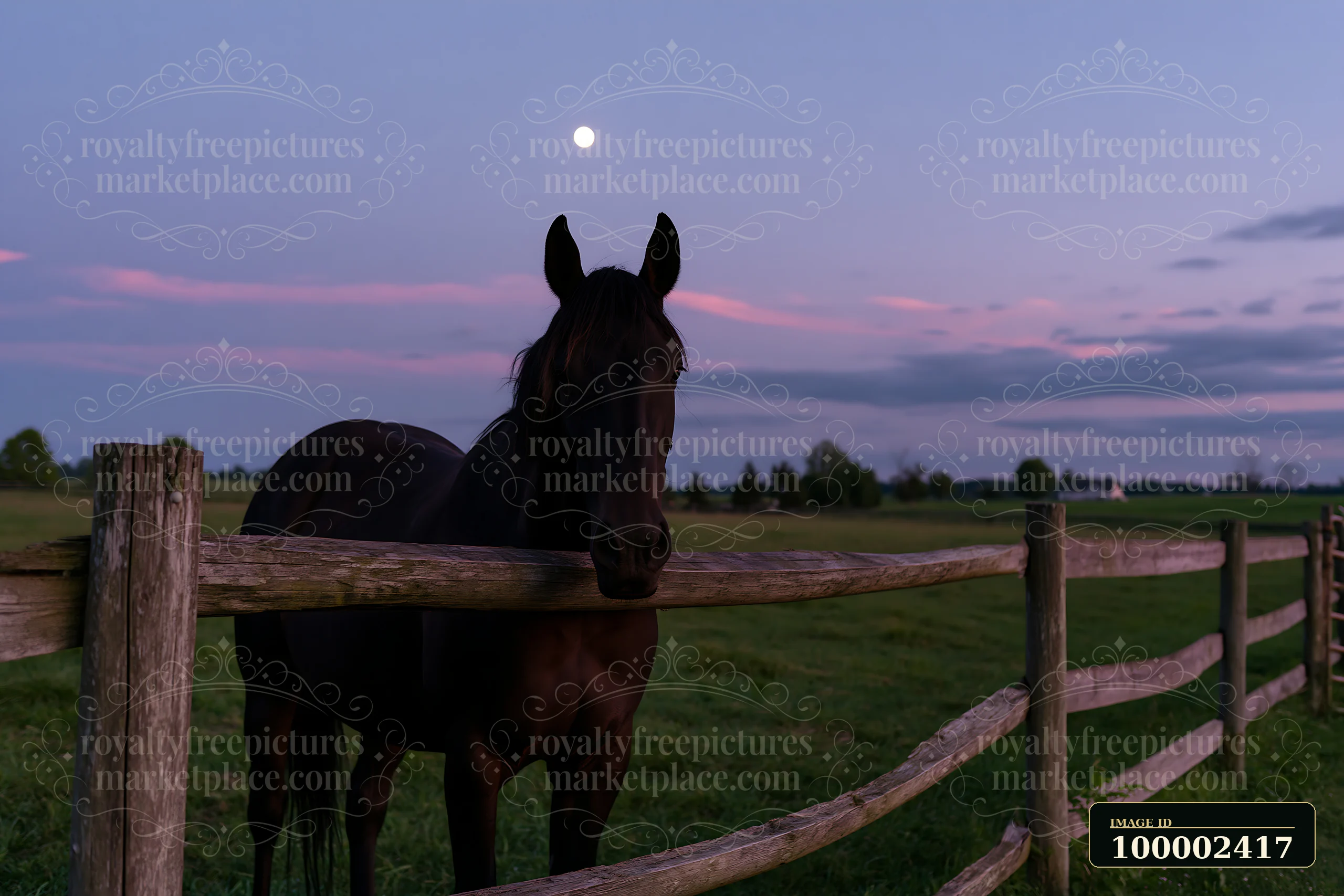 A horse stands near a wooden fence under the full moon in a twilight sky.