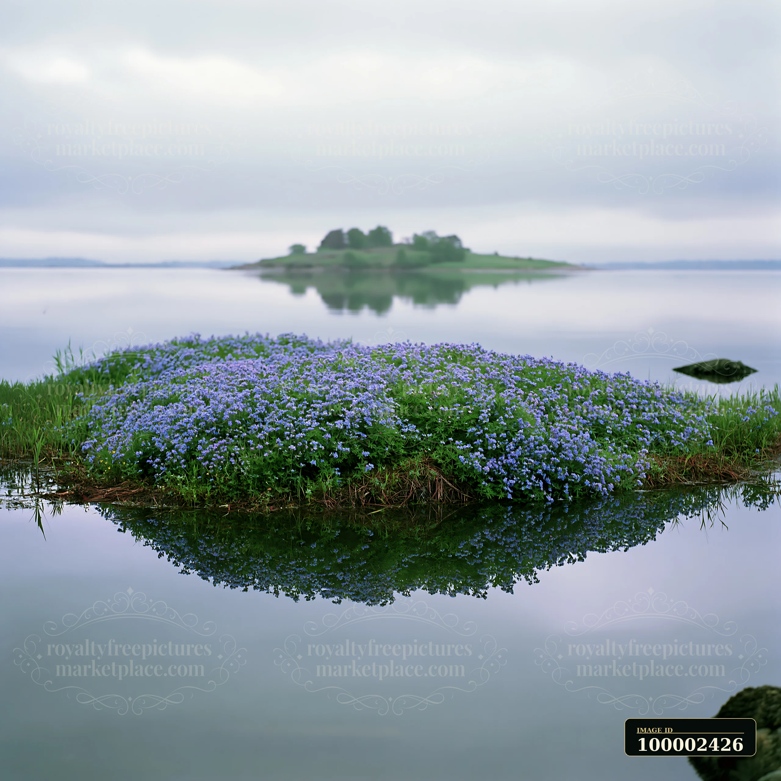 A small island with flowers sits in a calm bay.