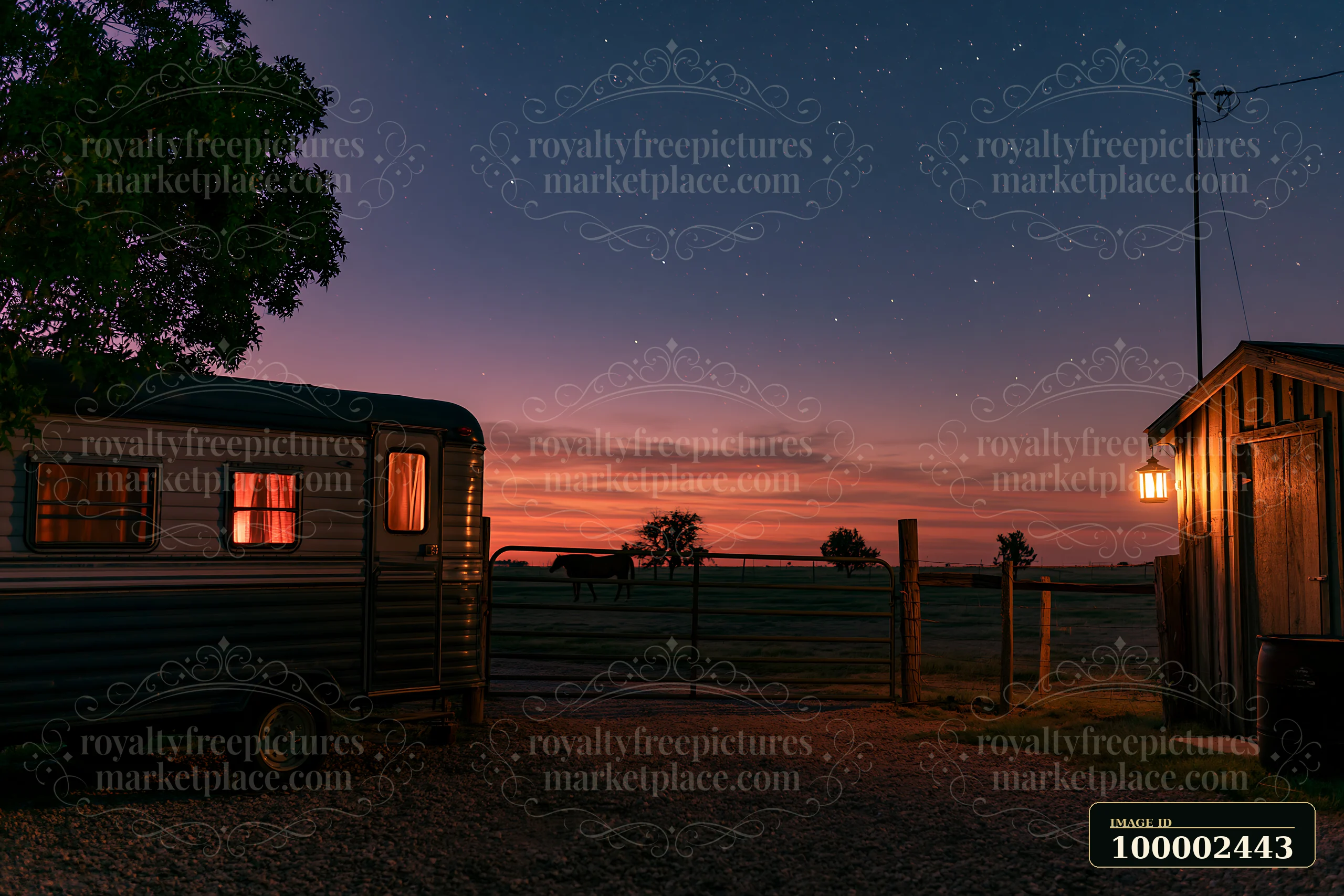 A horse trailer stands near a wooden barn under a starry sky as twilight sets in.