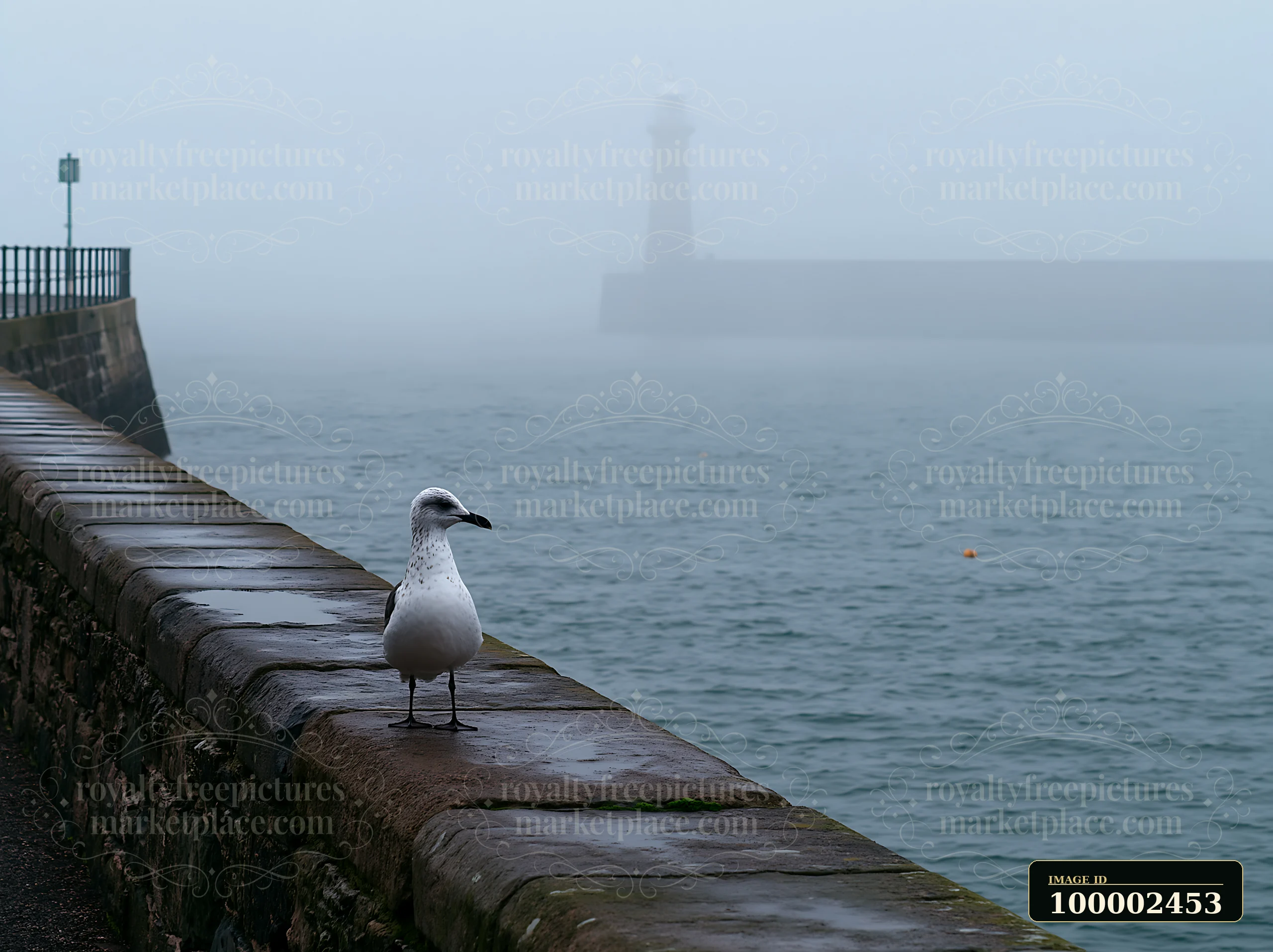 A seagull stands on a stone wall near the water while a lighthouse in heavy ocean fog is visible in the background.