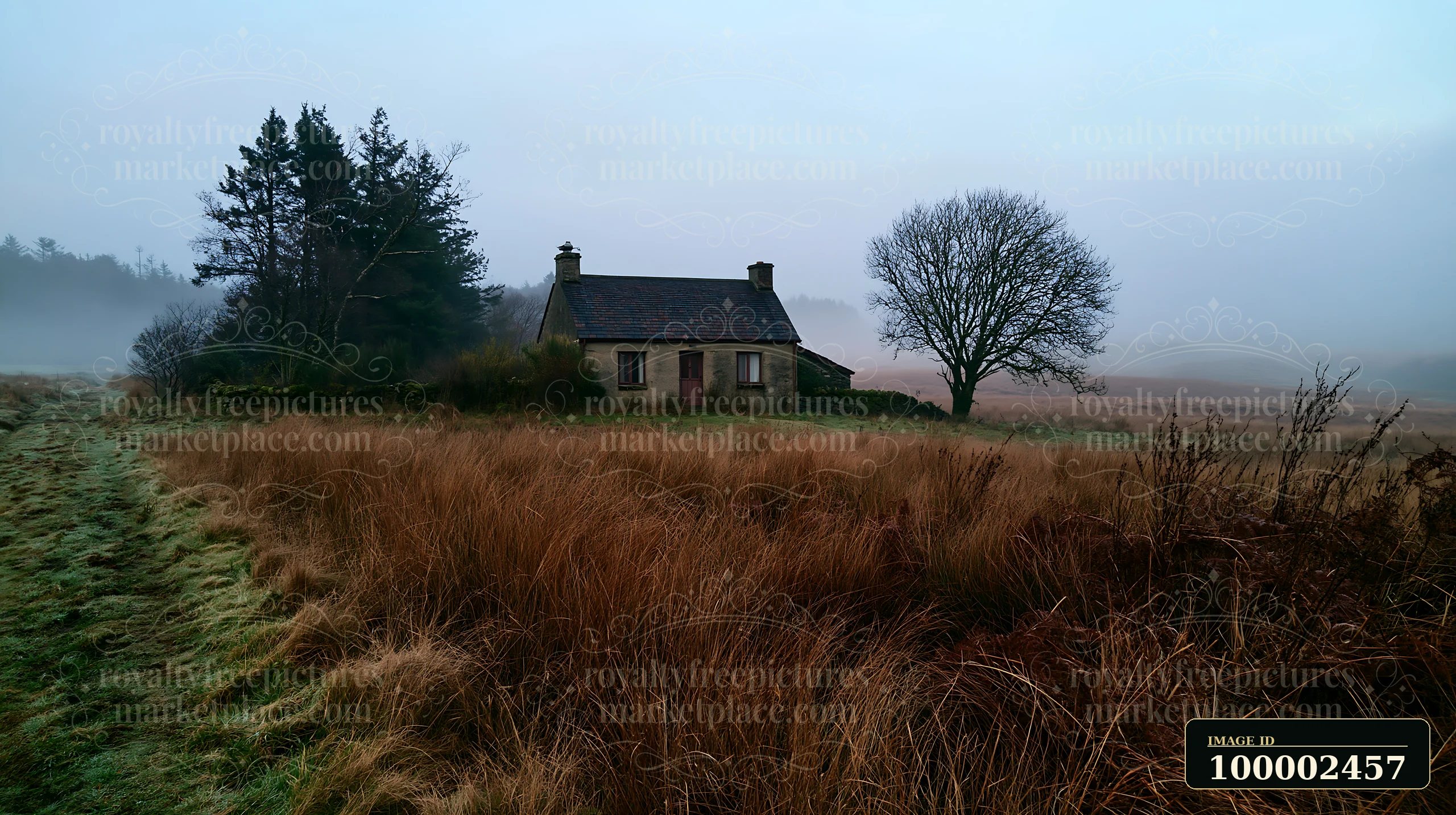 A cottage stands in a misty countryside, surrounded by tall grass and sparse trees.