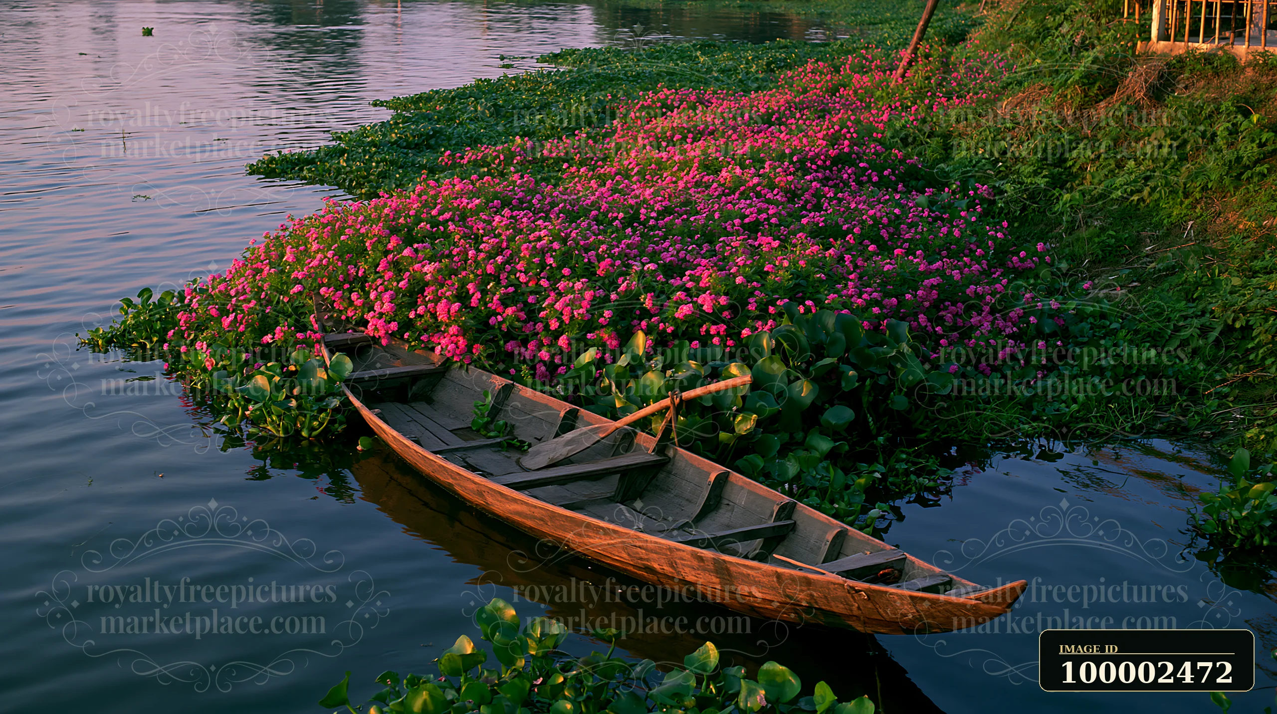 A wooden boat floats near a shore covered with vibrant flowers, reflecting golden light from the setting sun.