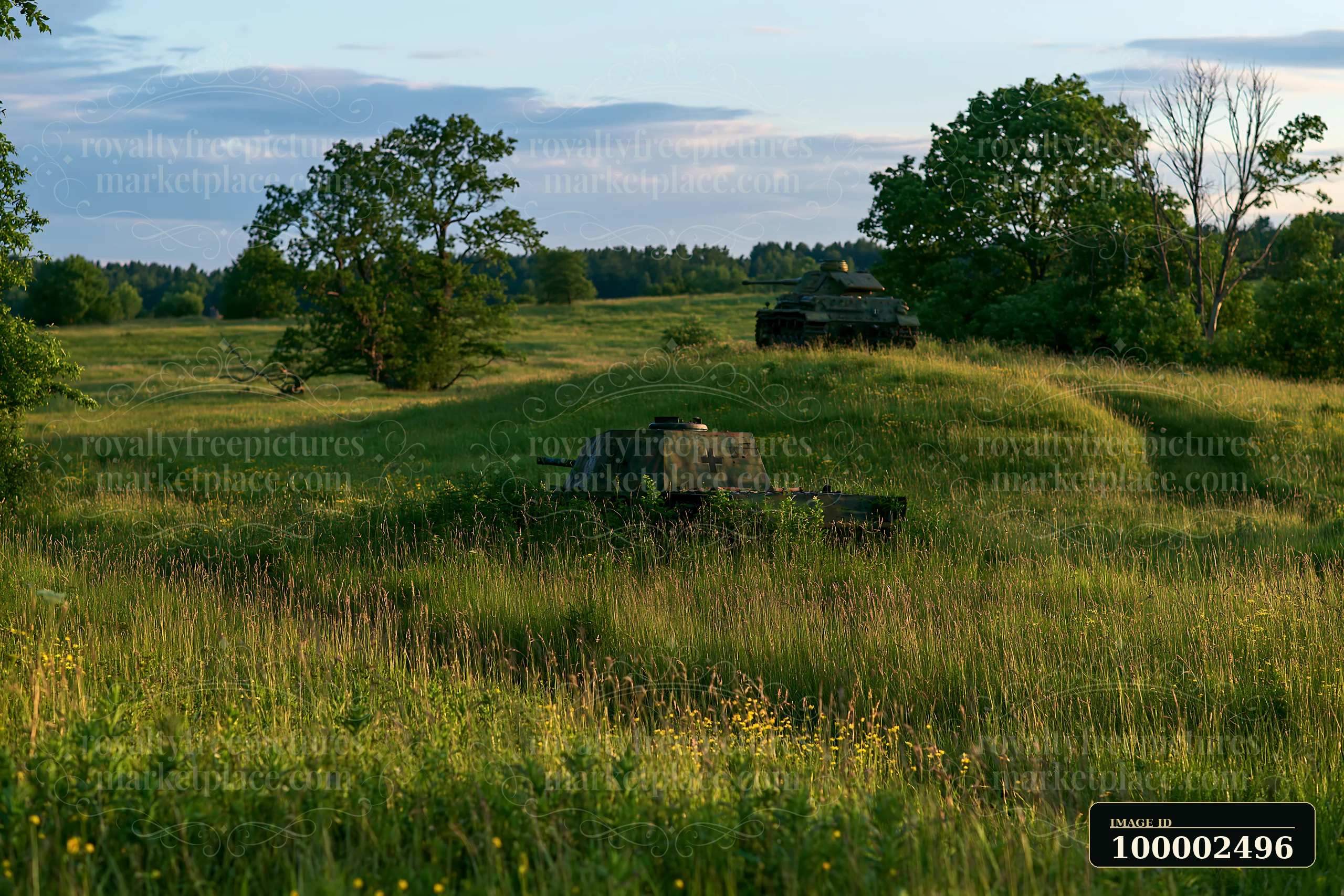 A panzer tank surrounded by grass rests in a field, with trees and a distant tank visible.