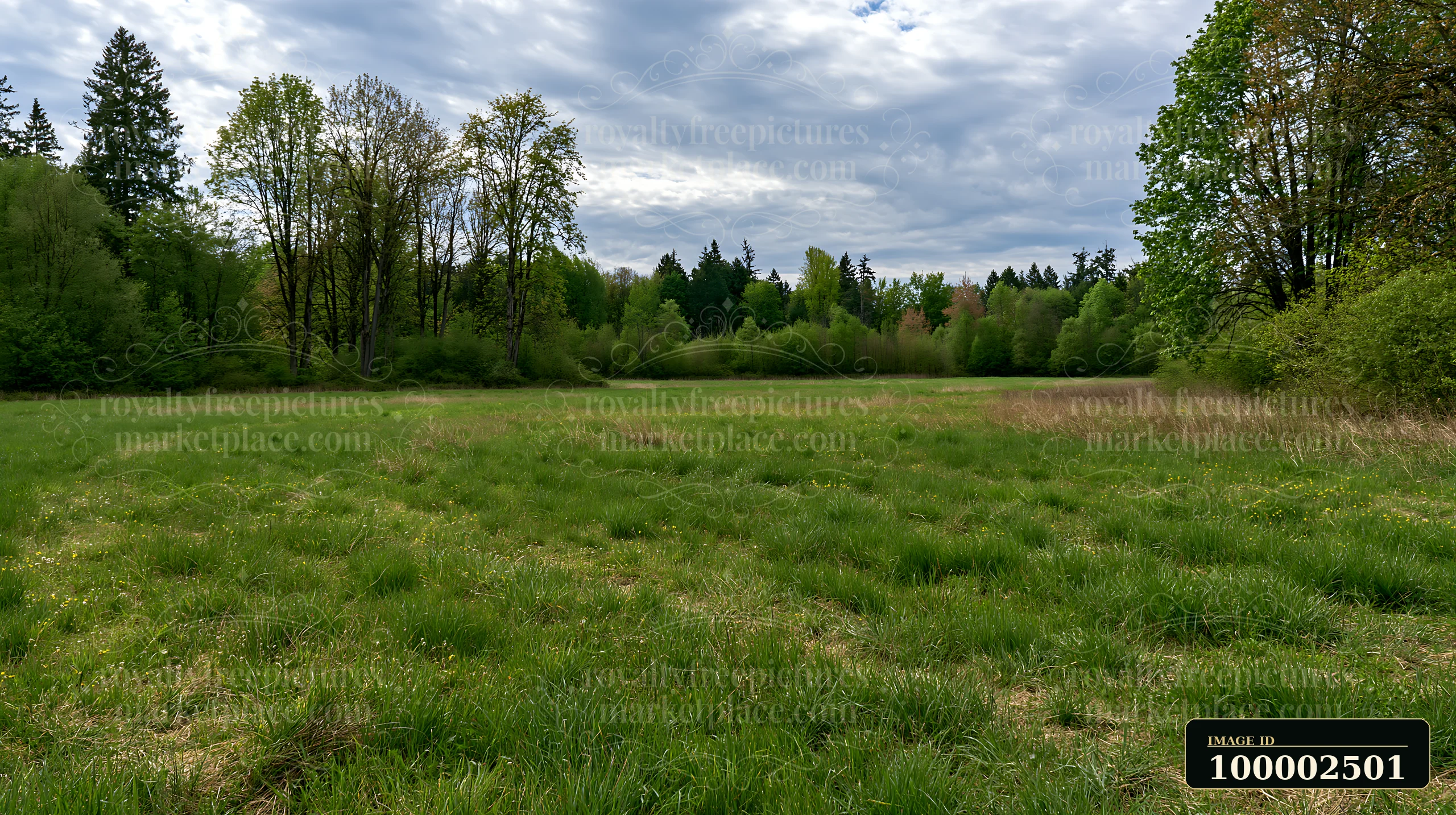 A meadow recovering after mowing shows fresh green grass across a wide area under partly cloudy skies.