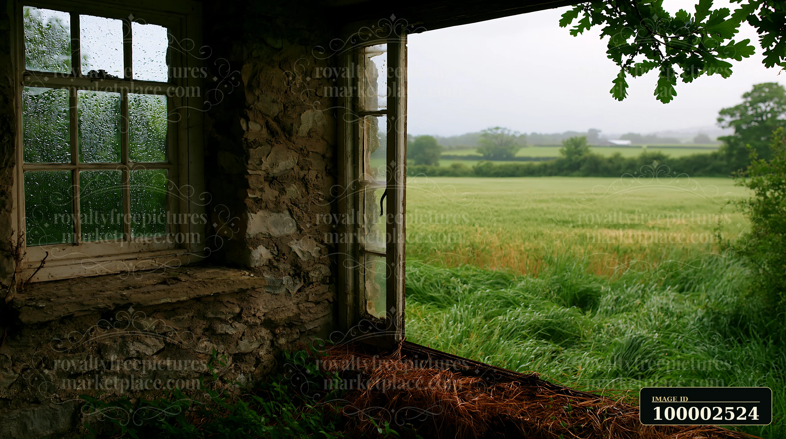 Rain on small cottage window overlooking field shows droplets on the glass, with a view of green grass and trees outside.