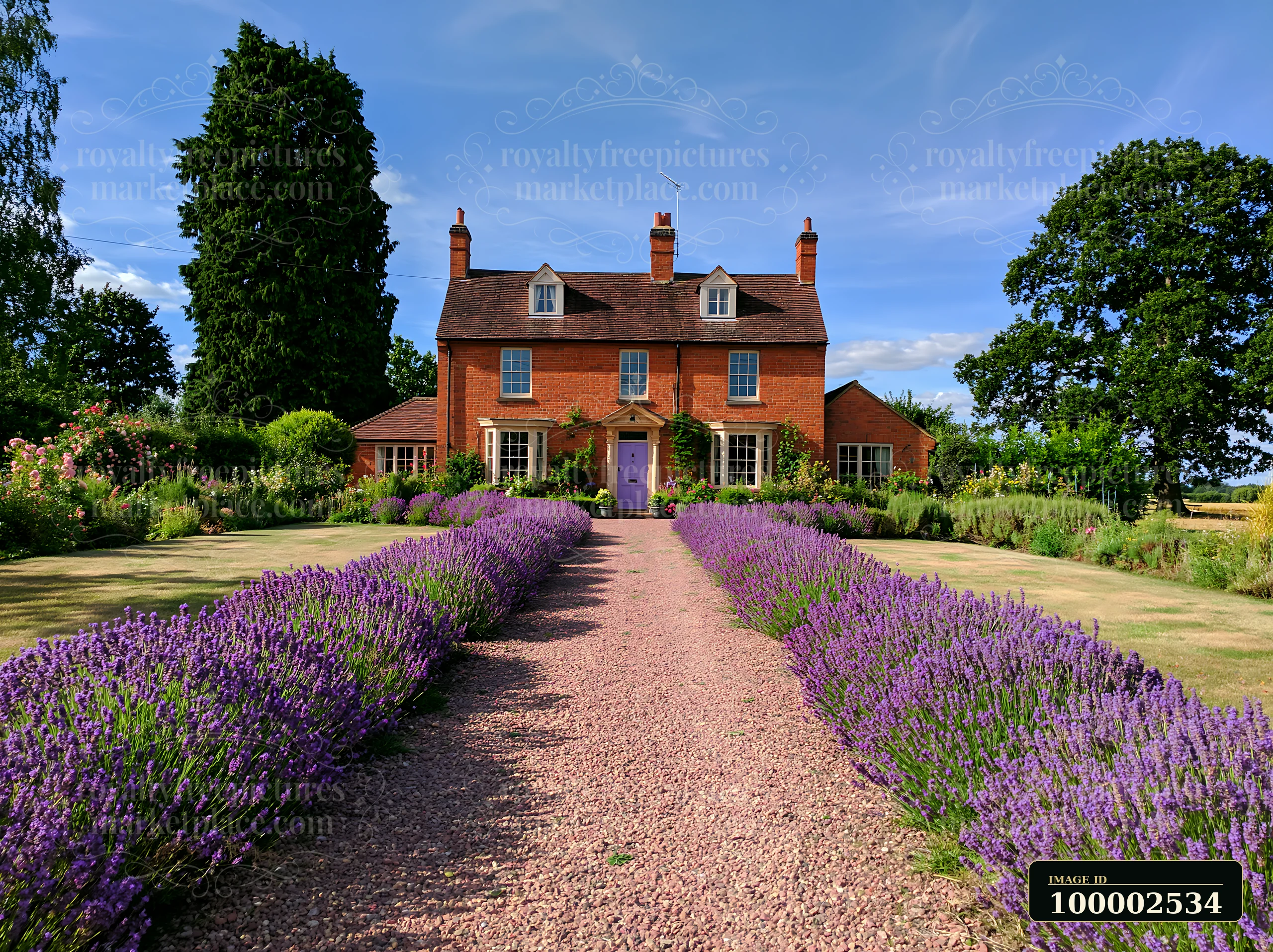 This country house with gravel driveway features a landscaped garden filled with lavender.