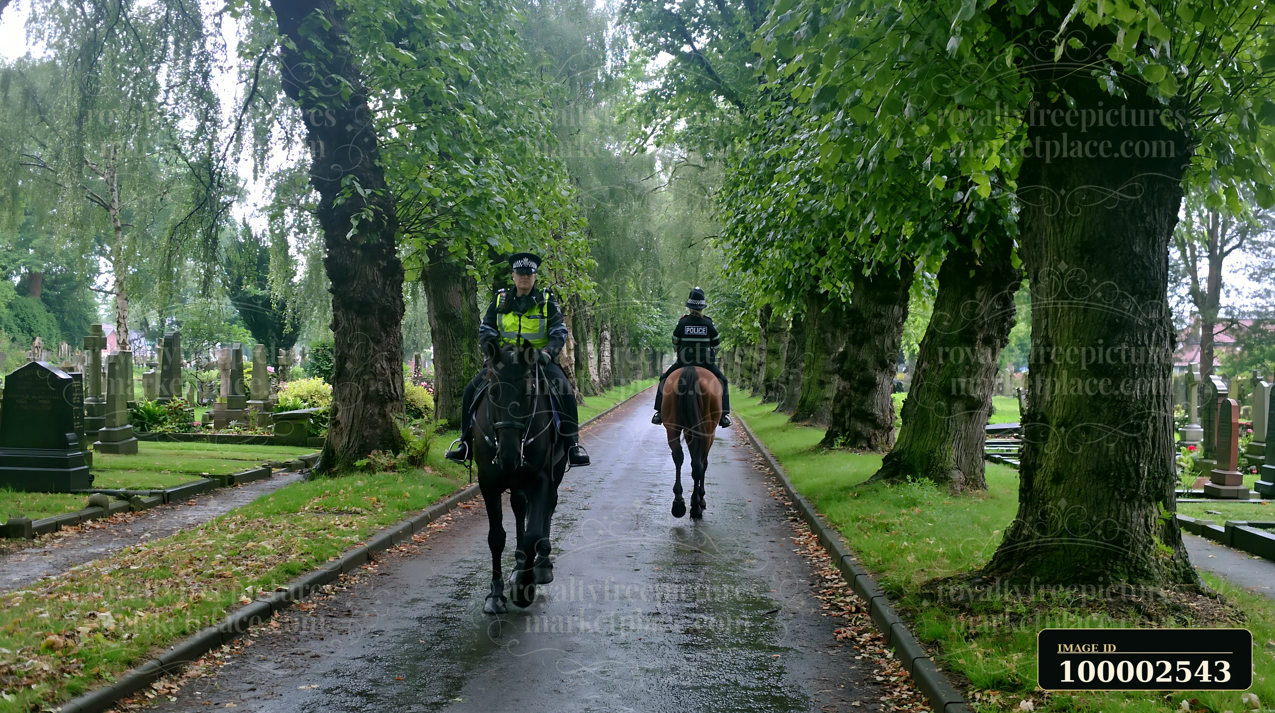 Two police officers on horseback patrol a tree-lined pathway in a cemetery.