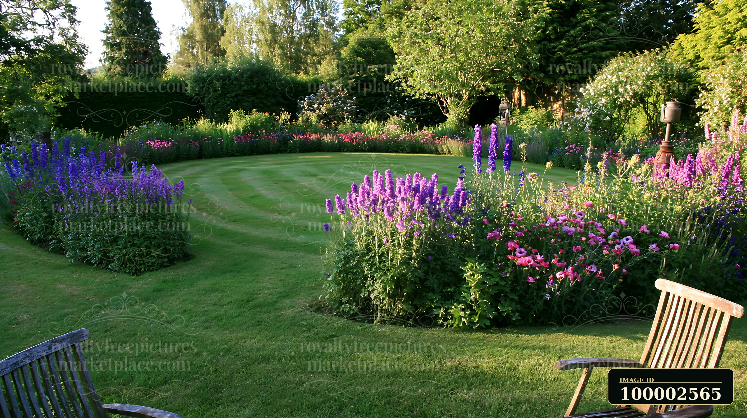 A delphinium flower border forms colorful patterns in a garden with green grass.