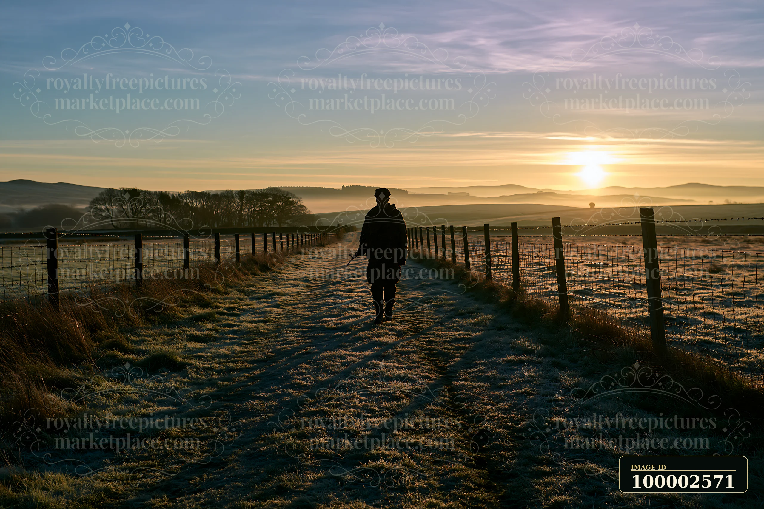 A soldier walks along a rural path at sunrise, casting a long shadow on the ground.