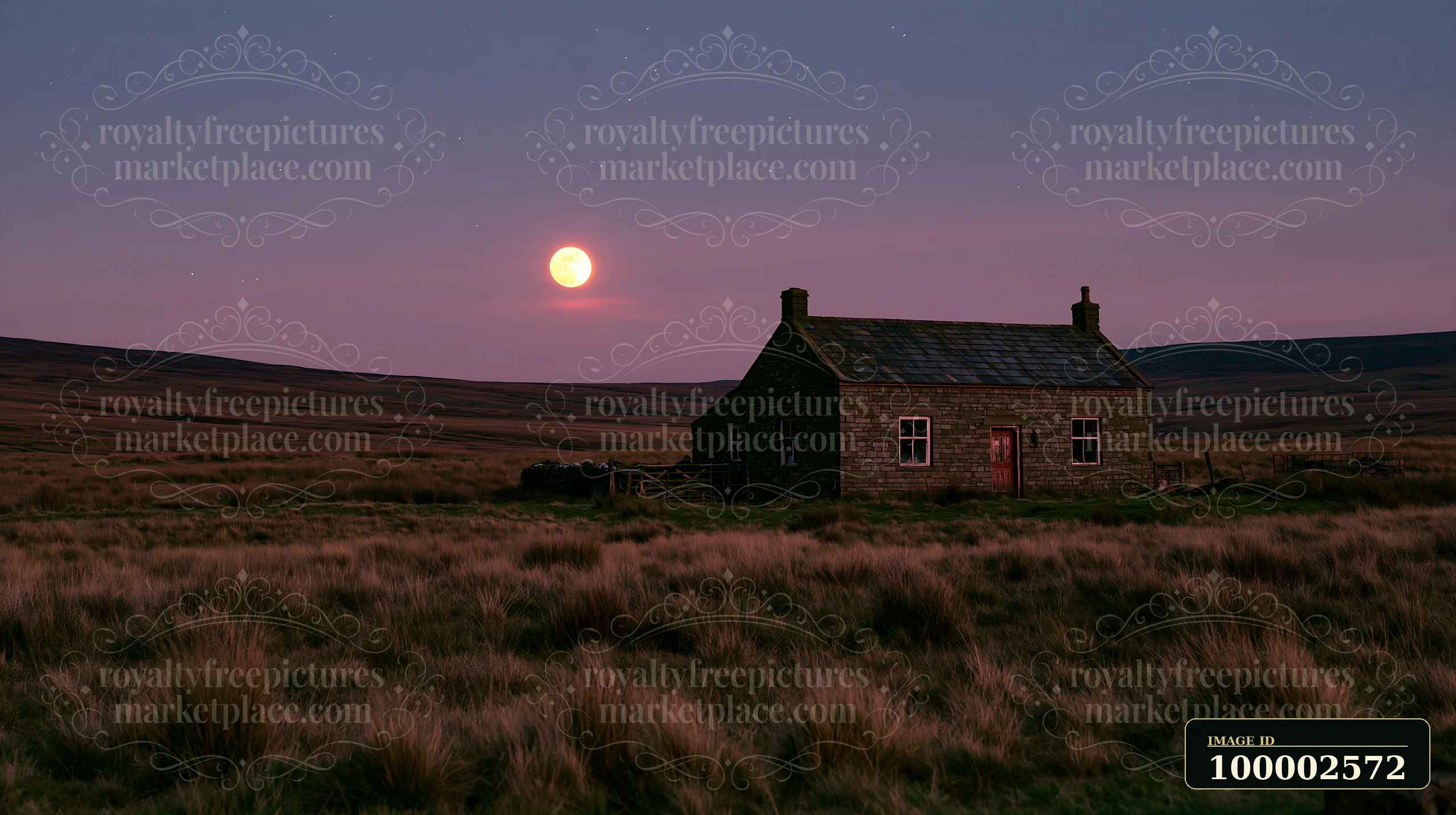 A house stands alone on a grassy plain under a full moon and stars in the night sky.