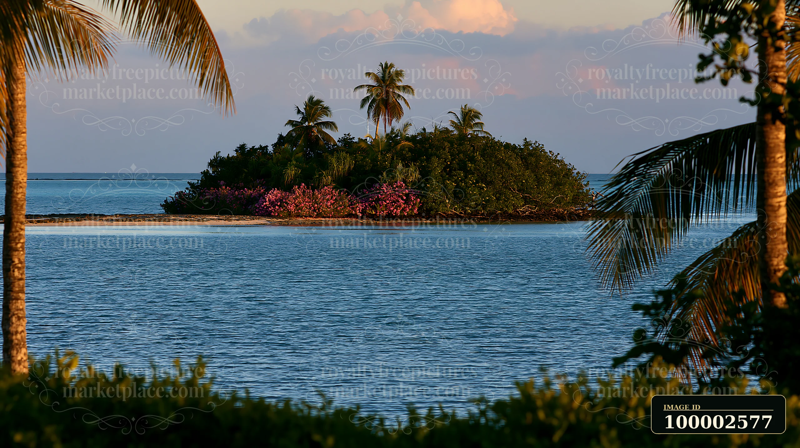 A small island with flowers is visible in a tropical lagoon.