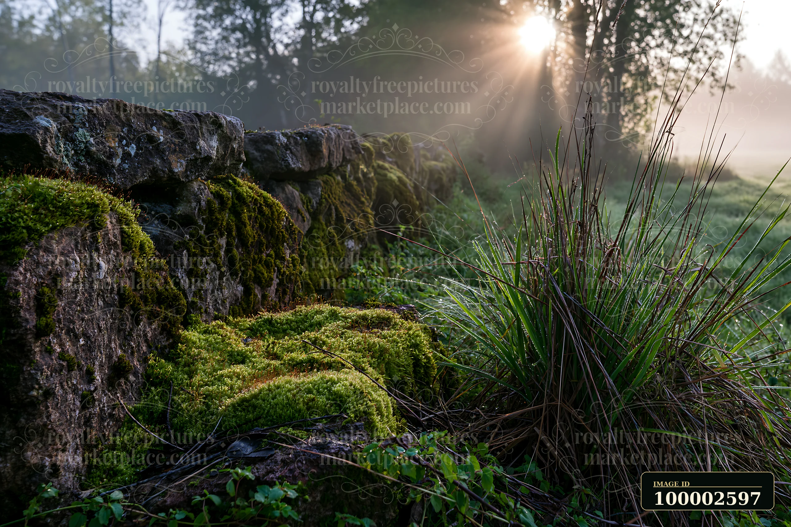 Sunbeams over a misty meadow highlight a stone wall covered in moss.
