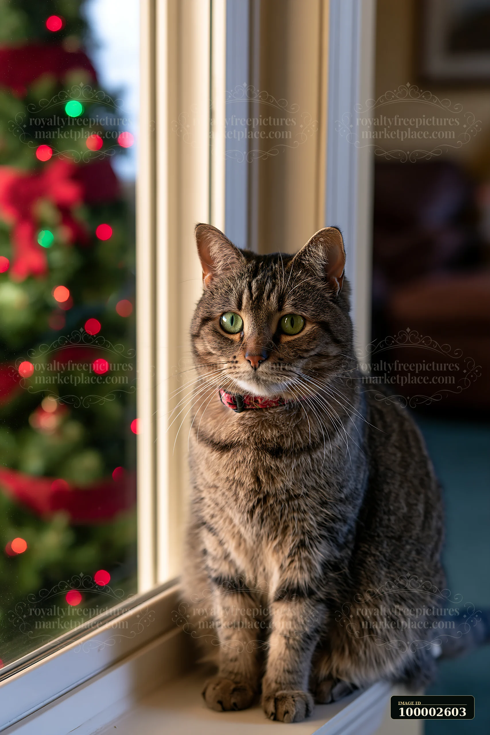 A cat sits by the window in a living room filled with Christmas decorations.