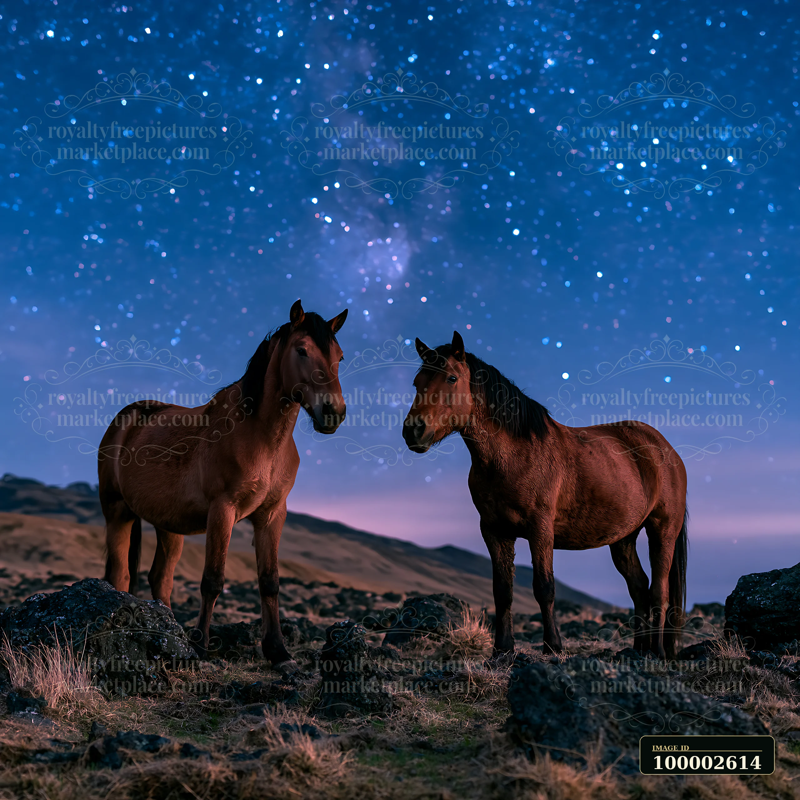 Two wild horses stand near volcanic rocks under a sky filled with stars.