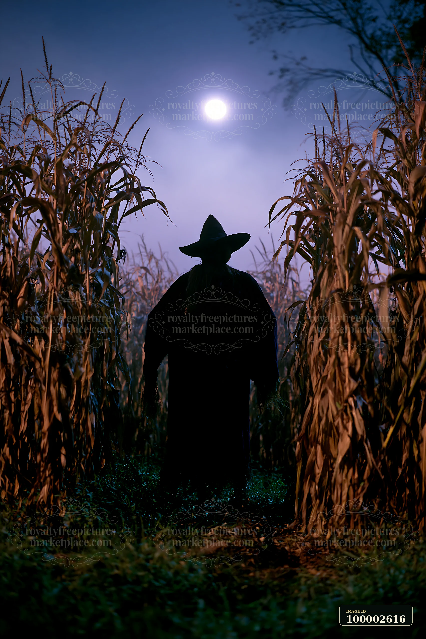 A scarecrow at night in a cornfield stands silhouetted against a bright full moon.