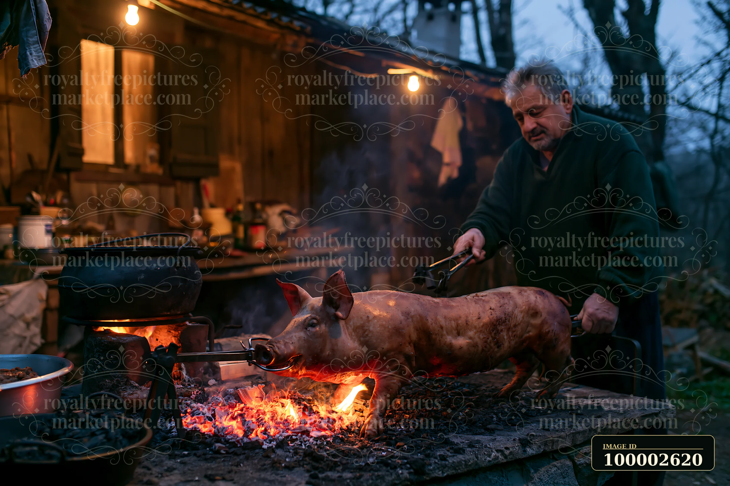 A cook turns a whole suckling pig roasting on a spit over a charcoal grill in front of a rustic wooden kitchen setting during twilight.