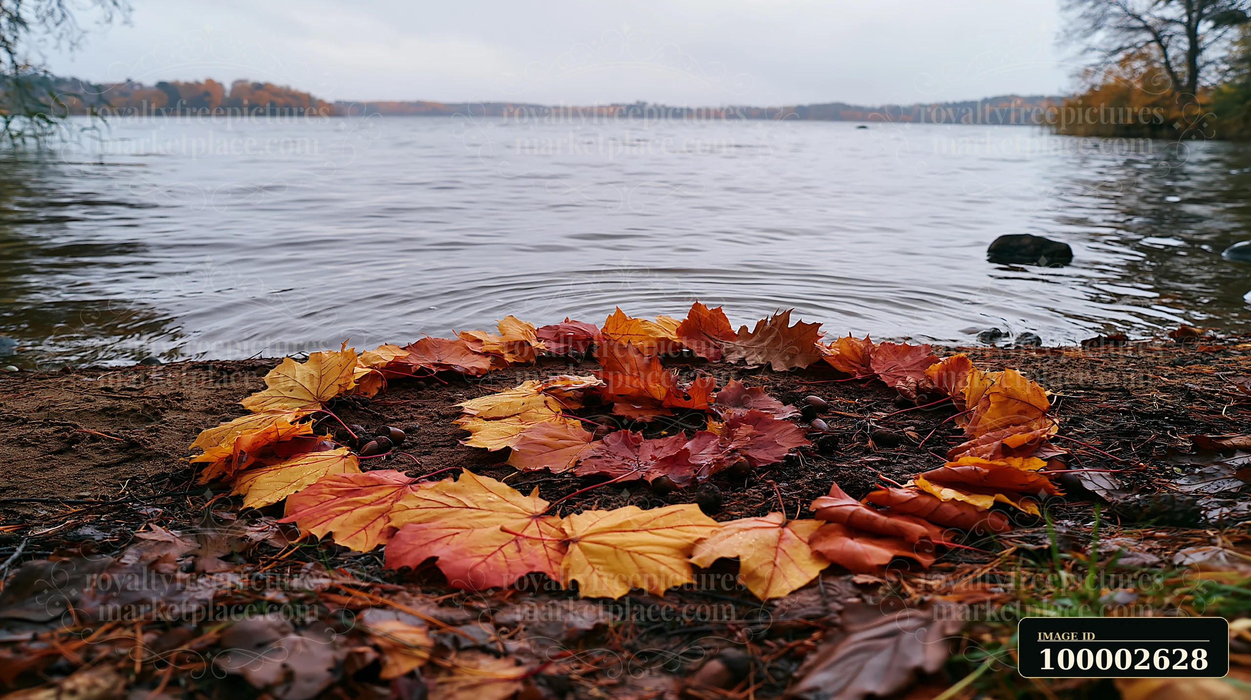 Colorful autumn leaves arranged in spiral on the sandy lakeshore near calm waters, with trees in the background and a gray sky indicating an overcast day.