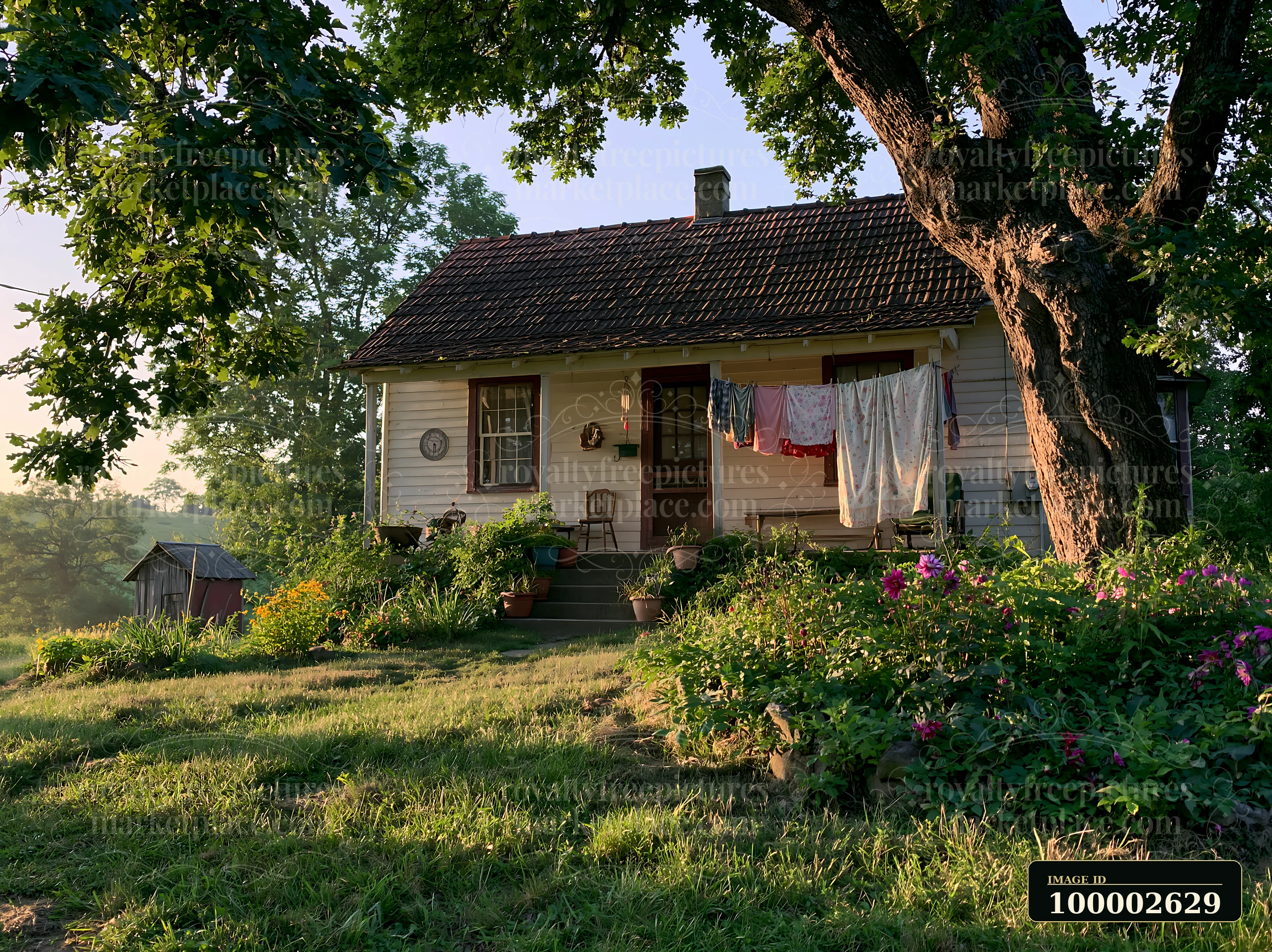 A rural home under oak trees shows clothes hanging on a line outside.