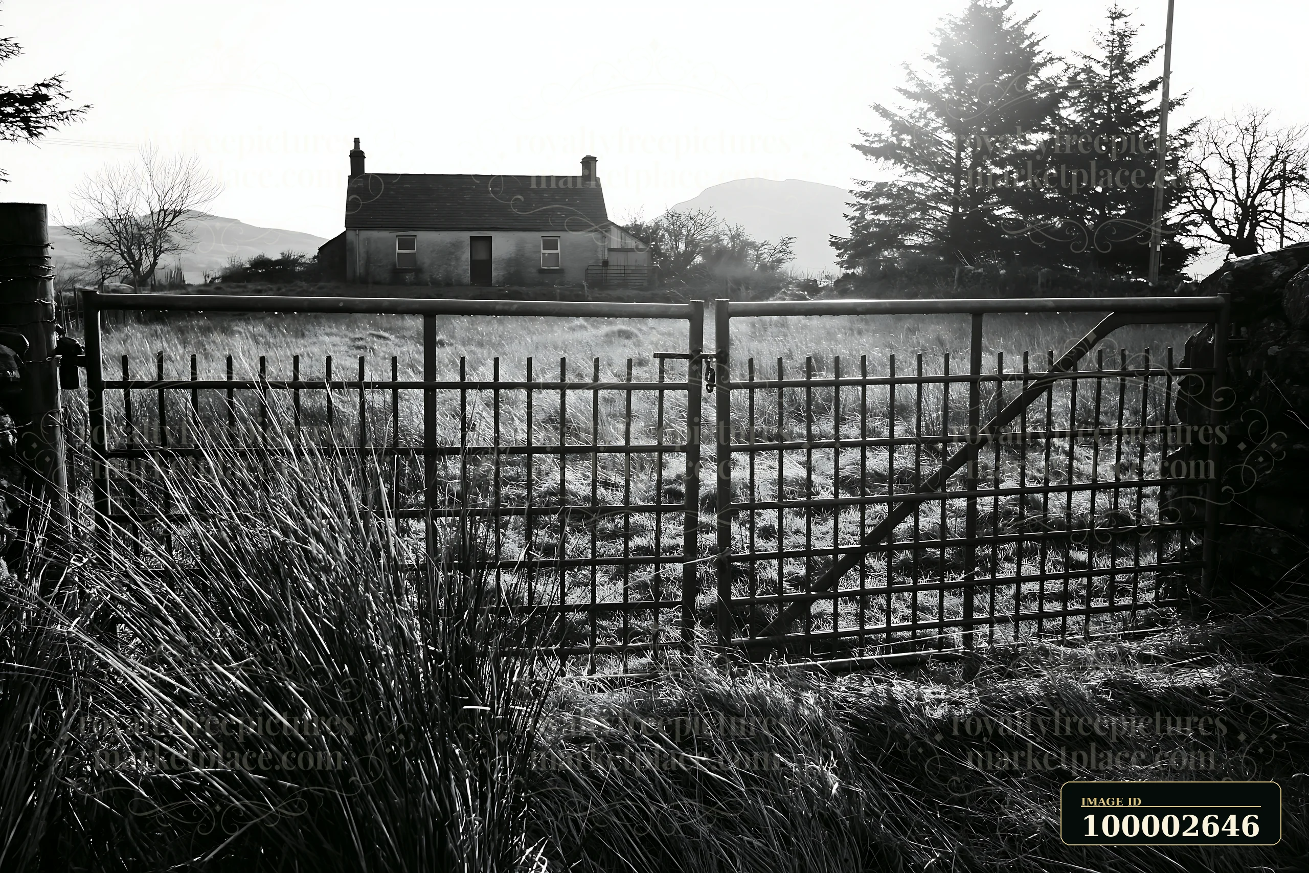 A rural cottage is visible through a metal gate in a field.