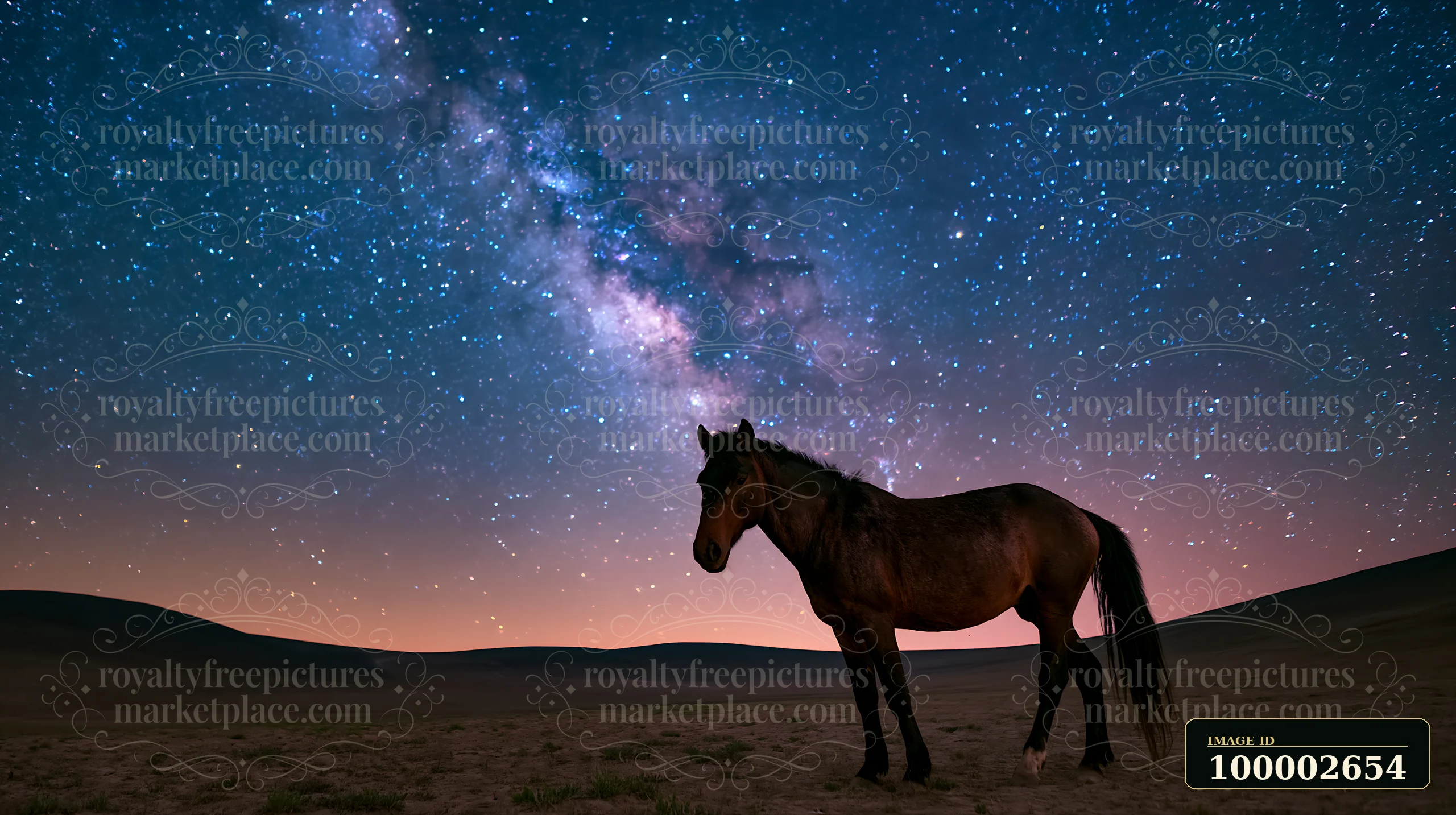 Horses are standing still under a clear night sky filled with bright stars and the Milky Way.